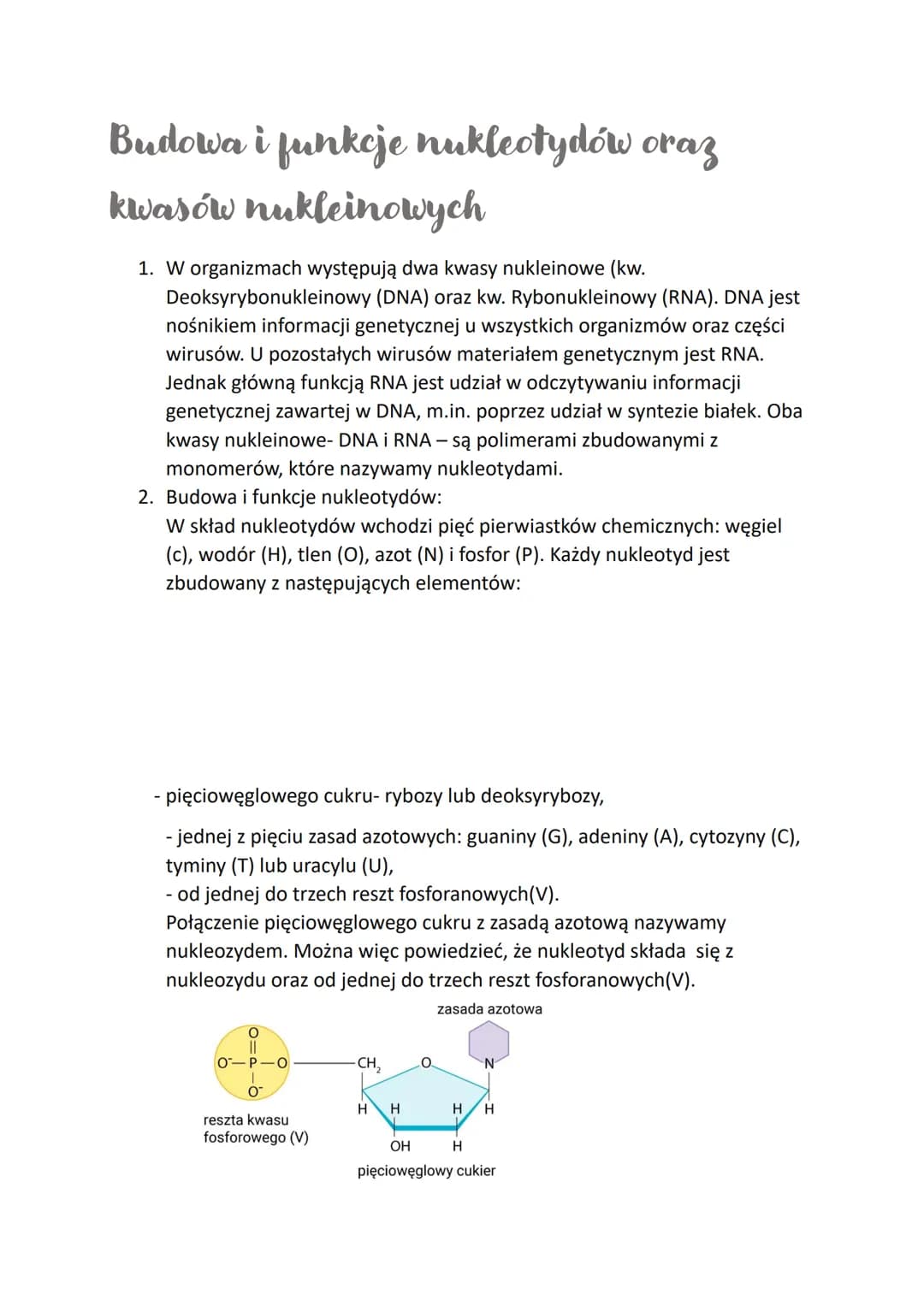# Budowa i funkcje nukleotydów oraz
kwasów nukleinowych
1. W organizmach występują dwa kwasy nukleinowe (kw.
Deoksyrybonukleinowy (DNA) or