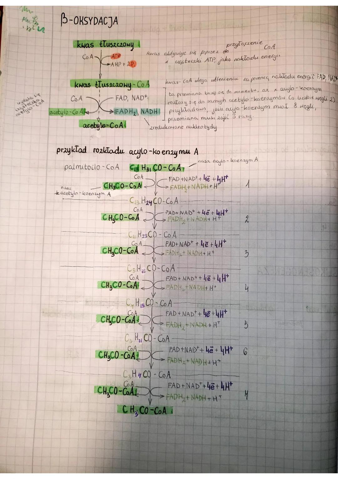 GLUKONEOGENEZA
1. rozkład tluszczów do glicerolu.
i kwasów tłuszczowych (upoliza)
trigliceryd
komórki tkanki
tłuszczowej
книгу
tłuszczowe
B-