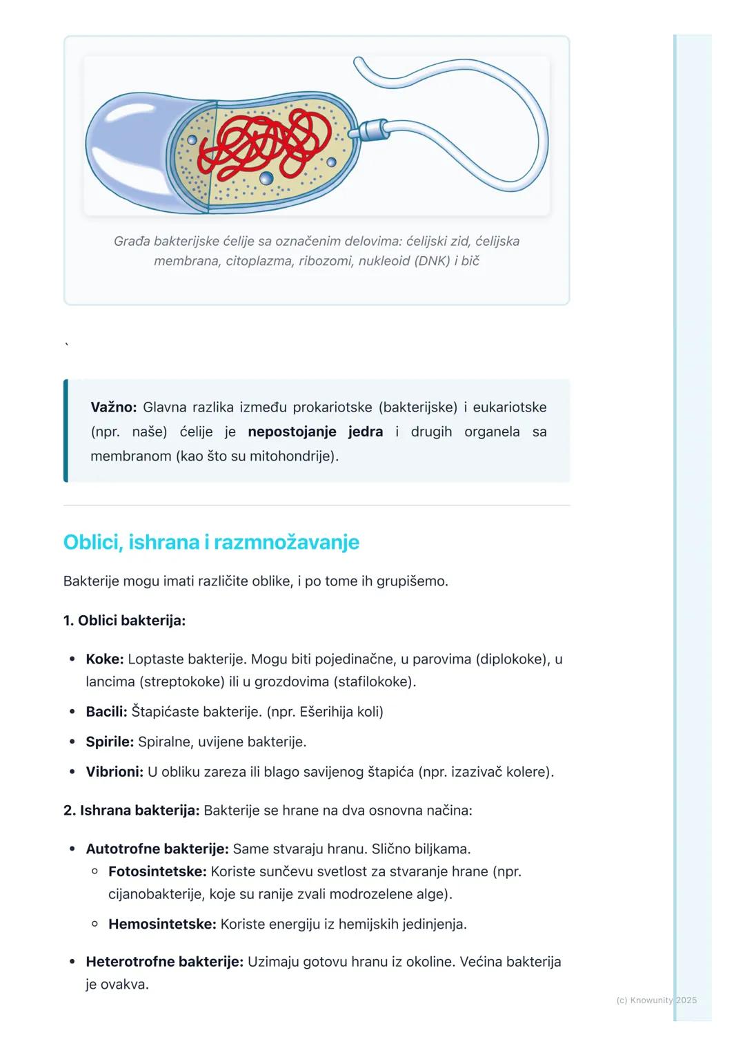 # Bakterije
## Šta su bakterije?
Bakterije su najjednostavniji i najbrojniji organizmi na Zemlji. One su
ejdnoćelijski organizmi, što znač