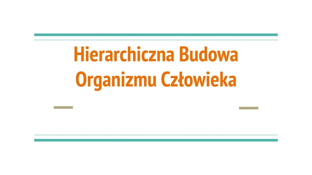Hierarchiczna Budowa Organizmu Człowieka
