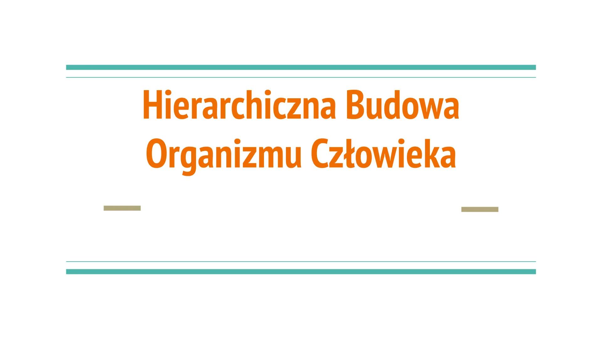 Hierarchiczna Budowa
Organizmu Człowieka Spis Treści
Poziom organizacji budowy ciała
● Jakie mamy rodzaje układów
Jakie mamy tkanki
Budowa i