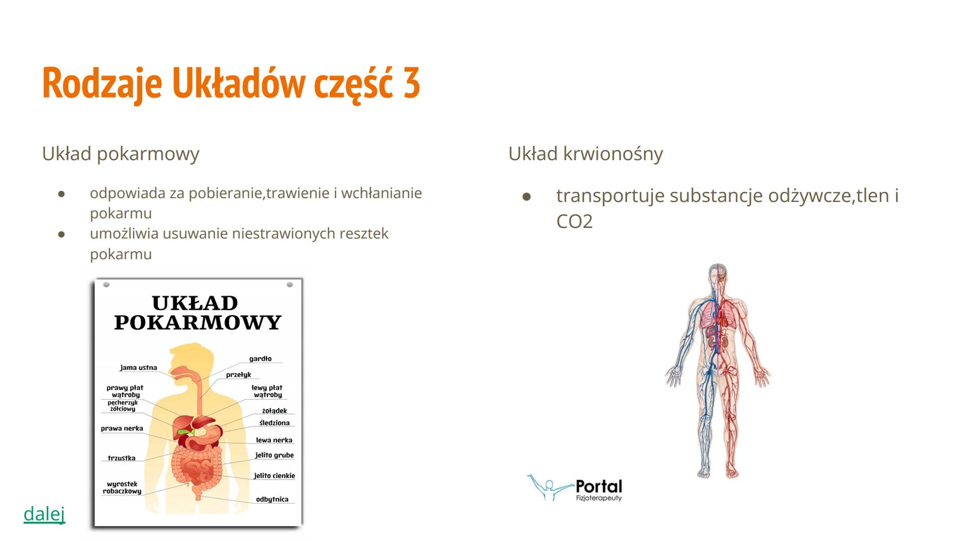 Hierarchiczna Budowa
Organizmu Człowieka Spis Treści
Poziom organizacji budowy ciała
● Jakie mamy rodzaje układów
Jakie mamy tkanki
Budowa i