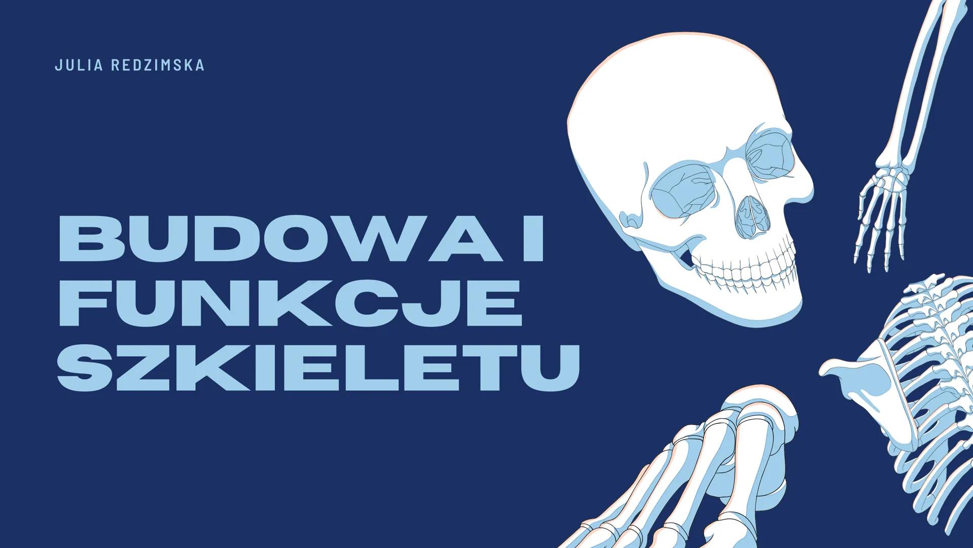 JULIA REDZIMSKA
BUDOWAI
FUNKCJE
SZKIELETU CZYM SĄ
KOŚCI?
Kości są częścią szkieletu ludzkiego oraz zwierzęcego.
Jest to twardy i częściowo s