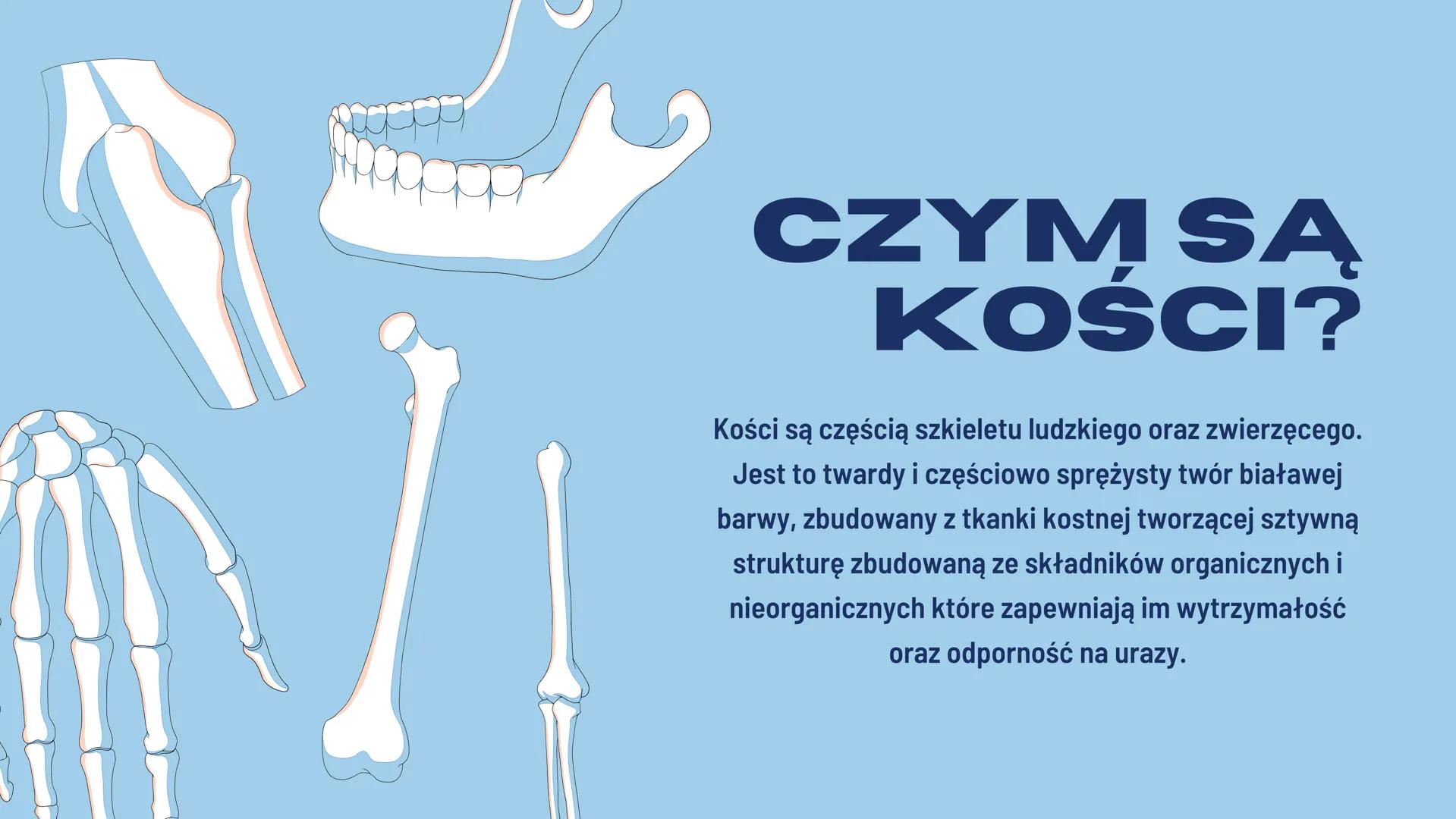 JULIA REDZIMSKA
BUDOWAI
FUNKCJE
SZKIELETU CZYM SĄ
KOŚCI?
Kości są częścią szkieletu ludzkiego oraz zwierzęcego.
Jest to twardy i częściowo s