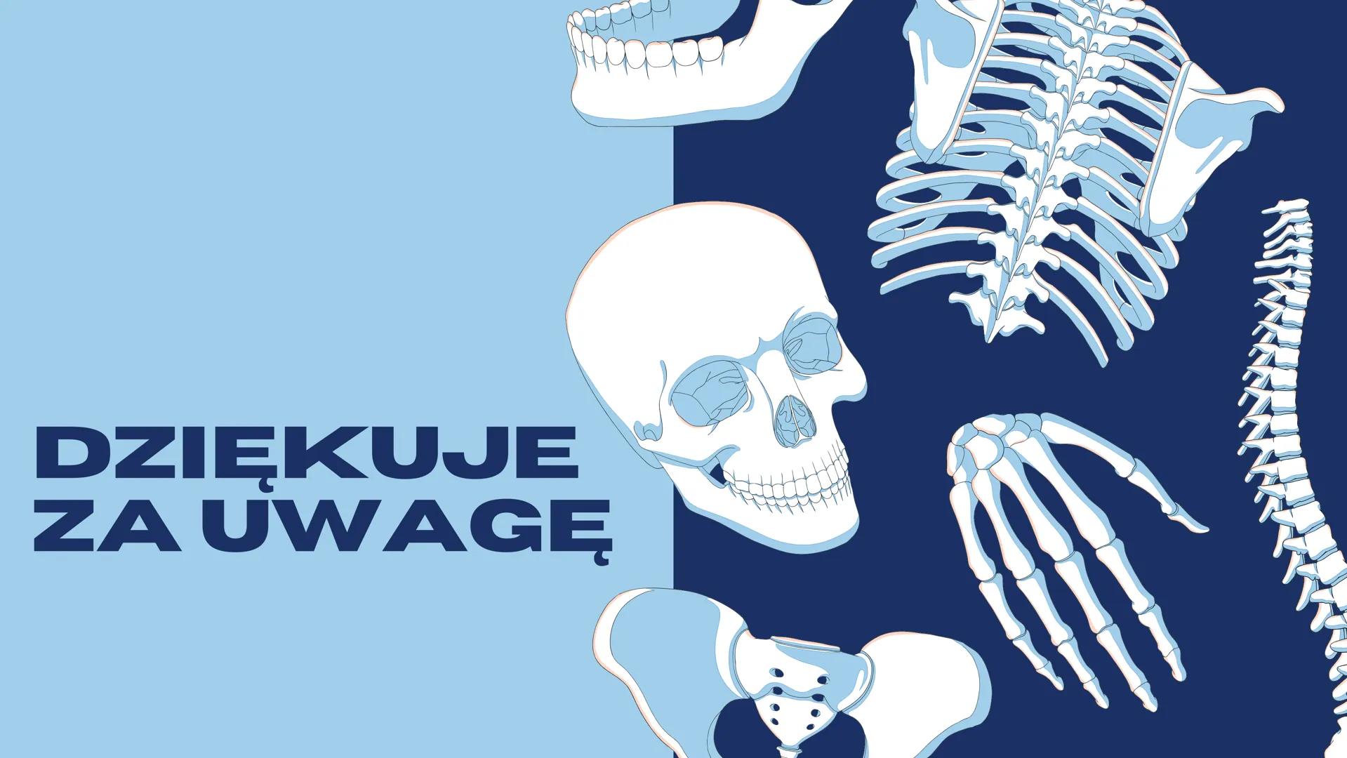 JULIA REDZIMSKA
BUDOWAI
FUNKCJE
SZKIELETU CZYM SĄ
KOŚCI?
Kości są częścią szkieletu ludzkiego oraz zwierzęcego.
Jest to twardy i częściowo s