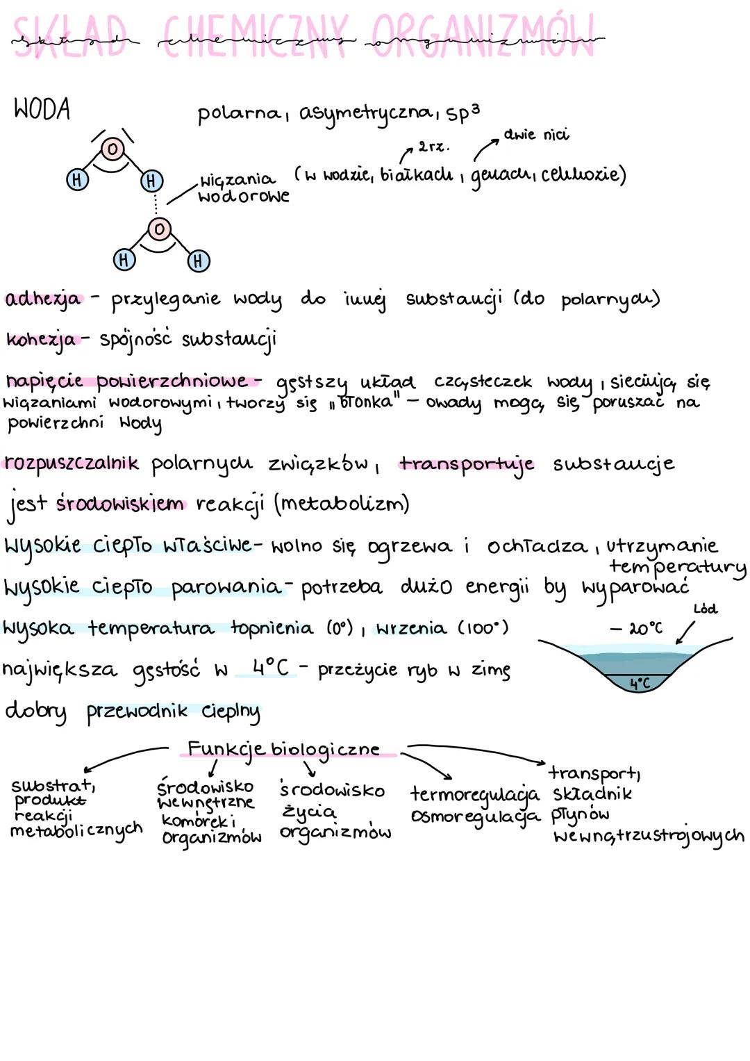 سمسمسمسم بمس منستسلم لمعلمة
WODA
polarna, asymetryczna, sp³
Wiązania
wodorowe
substrat,
produkt
reakcji
2rz.
(w wodzie, białkach, genach, ce