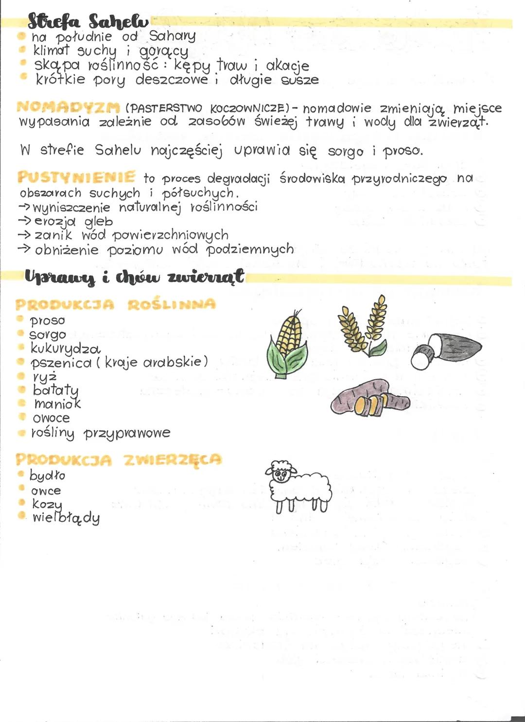 --- OCR Start ---
Rolniclive Afryki
W rolnictwie pracuje ponad 60% ludzi.
Afryka jest jednym z największych importerów. na świecie.
Warunki