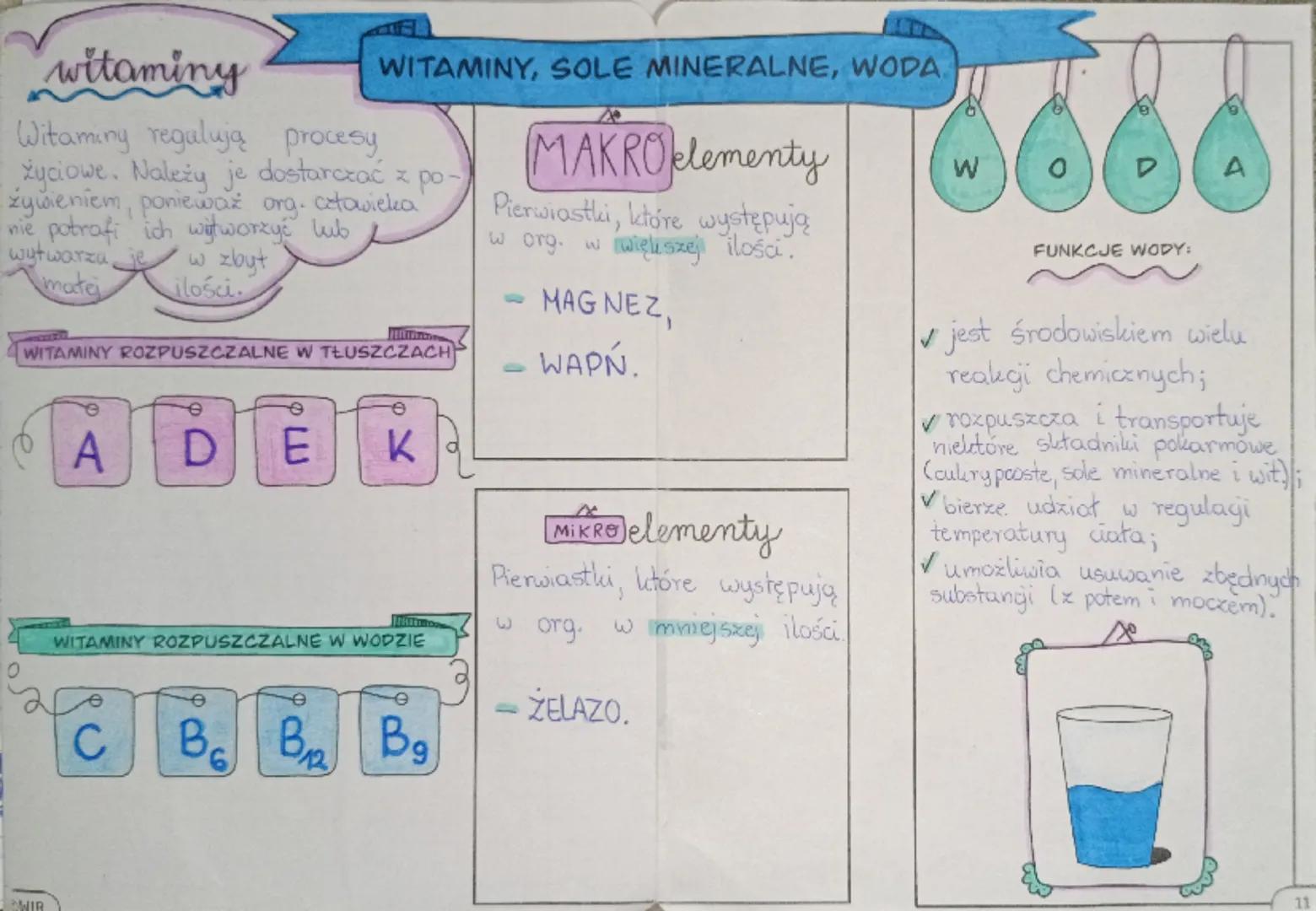 15.10.2024r.
Lelicja
temat: Sole mineralne, witaminy i woda.
1. Sole mineralne dzielimy na:
MAKRO elementy
MIKRO elementy
to pierwiastki, kt