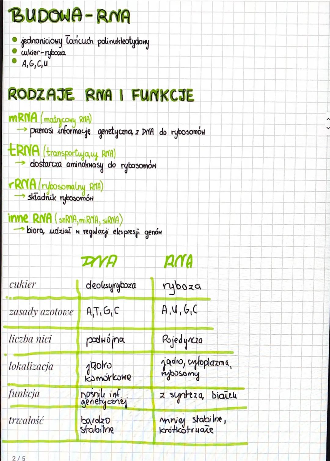 # DNA
# RNA
**Kwasy nukleinowe**
→ kwasy nukleinone to związki organiczne zbudowane z **nukleotydow**:
• DNA (kwas deoksyrybonukleinowy)
•