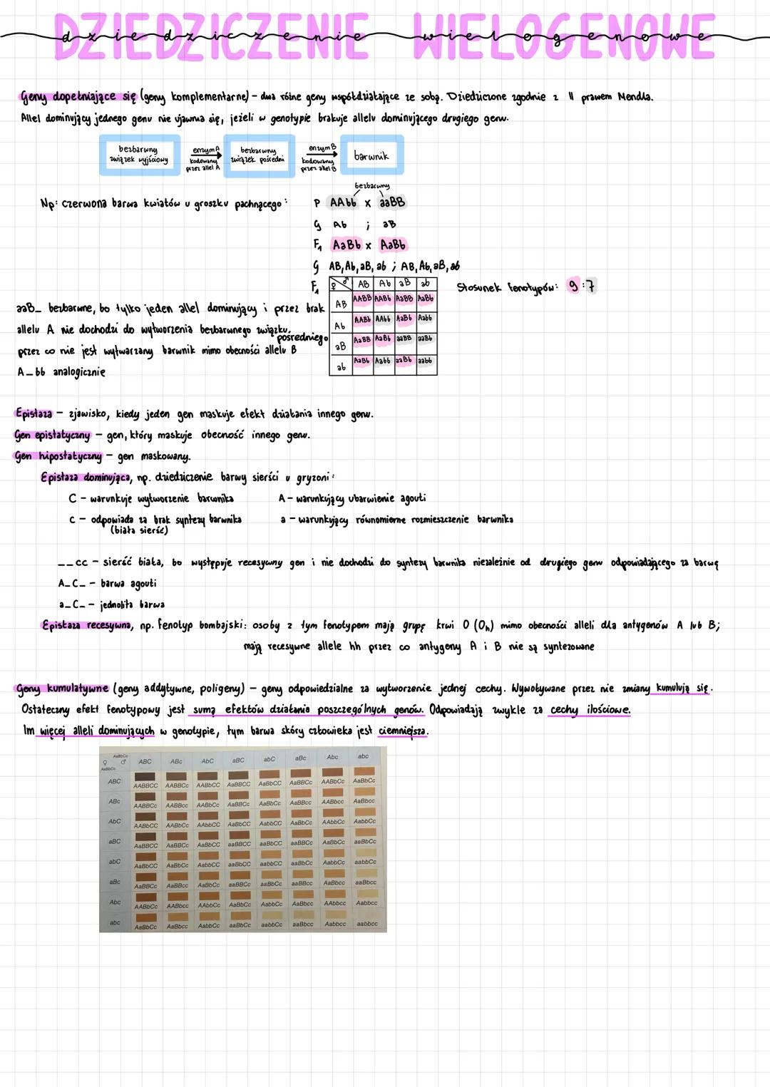 مسمسمهم لهسمسم مسه مصممه
DZIEDZICZENE
Geny dopelniające się (geny komplementarne) - dwa różne geny współdziałające ze sobą. Dziedziczone zgo