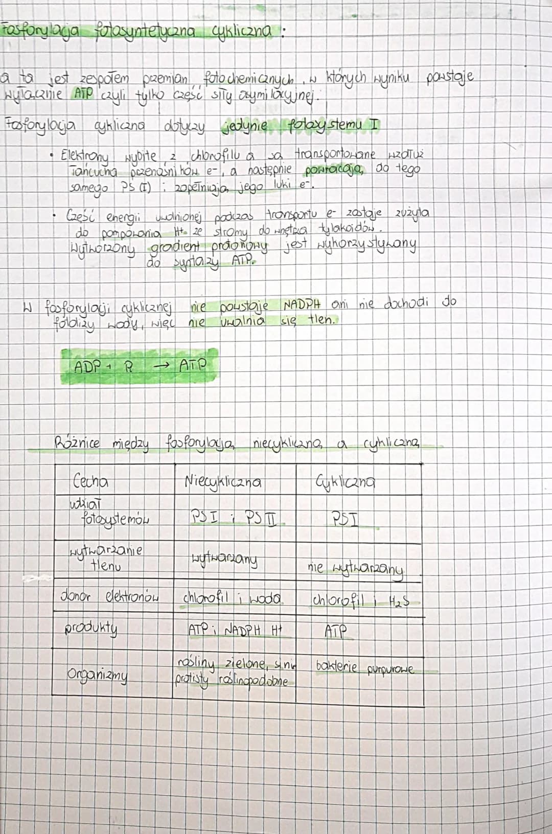 * Fosforylacja fotosyntetyczna niecykliczna
Faza ta polega na liniowym przepływie elektronów od cząsteczki
wody przez oba fotosystemy oraz