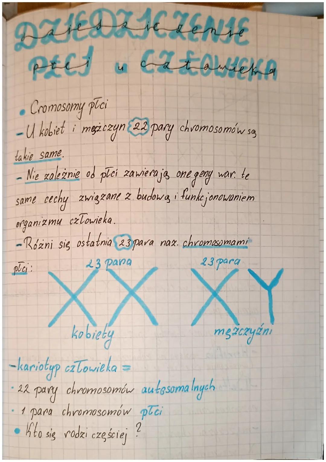 # DZIEDZIC ZENJE
# płci u catamieka
- Cromosomy płci
- U kobiet i mężczyn 22 pary chromosomów są
takie same.
- Nie zależnie od płci zawi