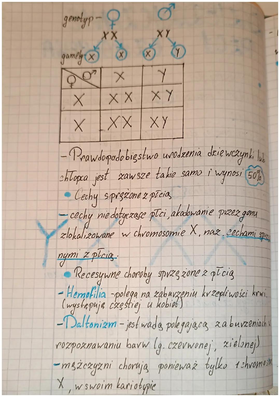 # DZIEDZIC ZENJE
# płci u catamieka
- Cromosomy płci
- U kobiet i mężczyn 22 pary chromosomów są
takie same.
- Nie zależnie od płci zawi
