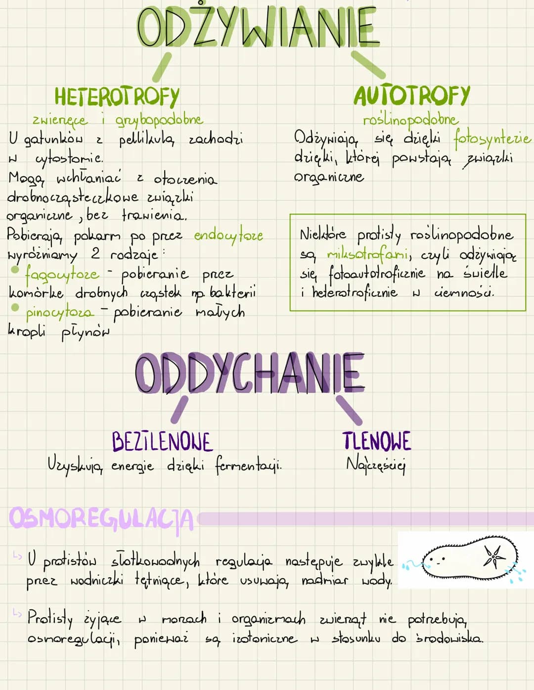 # PROTISTY
- to proste organizmy eukariotyczne
- takson parafiletyczny
- pochodzi od wspólnego przodka roślin, zwierząt i grzybów.
- są zwią
