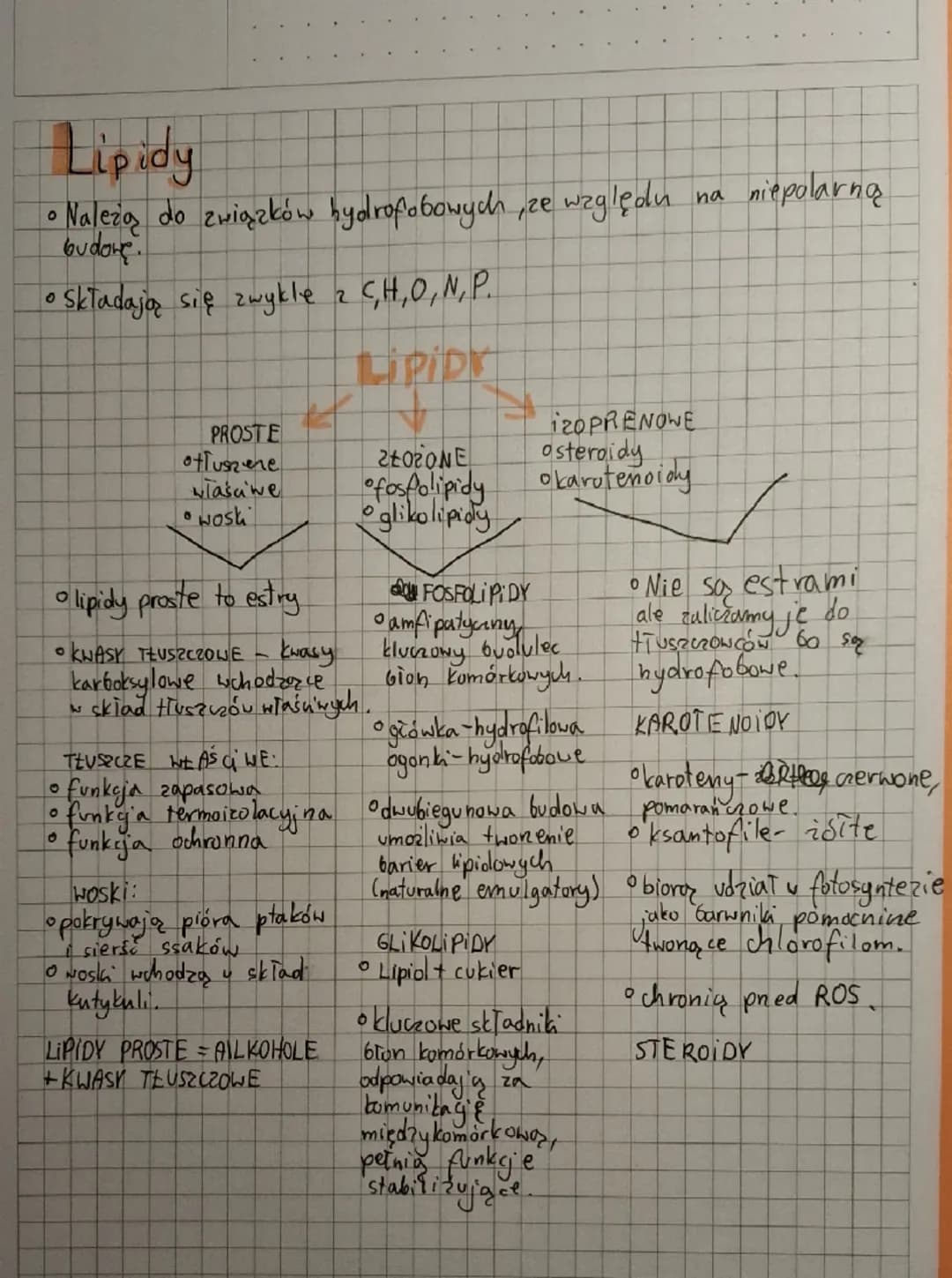 # Lipidy
* Należą do związków hydrofobowych, ze względu na niepolarną budowę.
* Składają się zwykle z C,H,O, N, P.
LIPIDY
* PROSTE
*