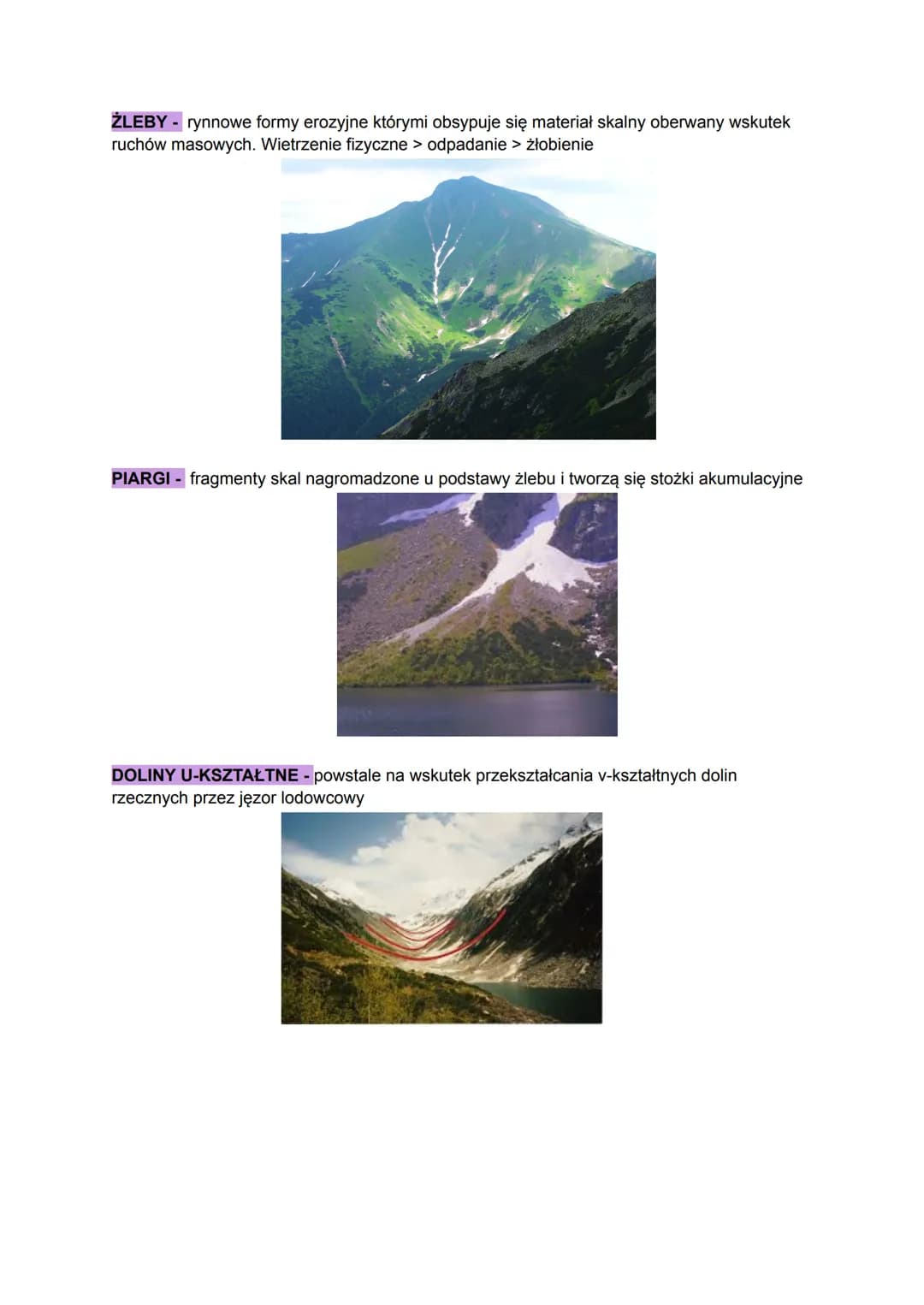 # KRAINY GEOGRAFICZNE POLSKI
## GÓRY
### BIESZCZADY:
- województwo - podkarpackie
- najwyższy szczyt - tarnica 1316 m
- typ gór - góry fał