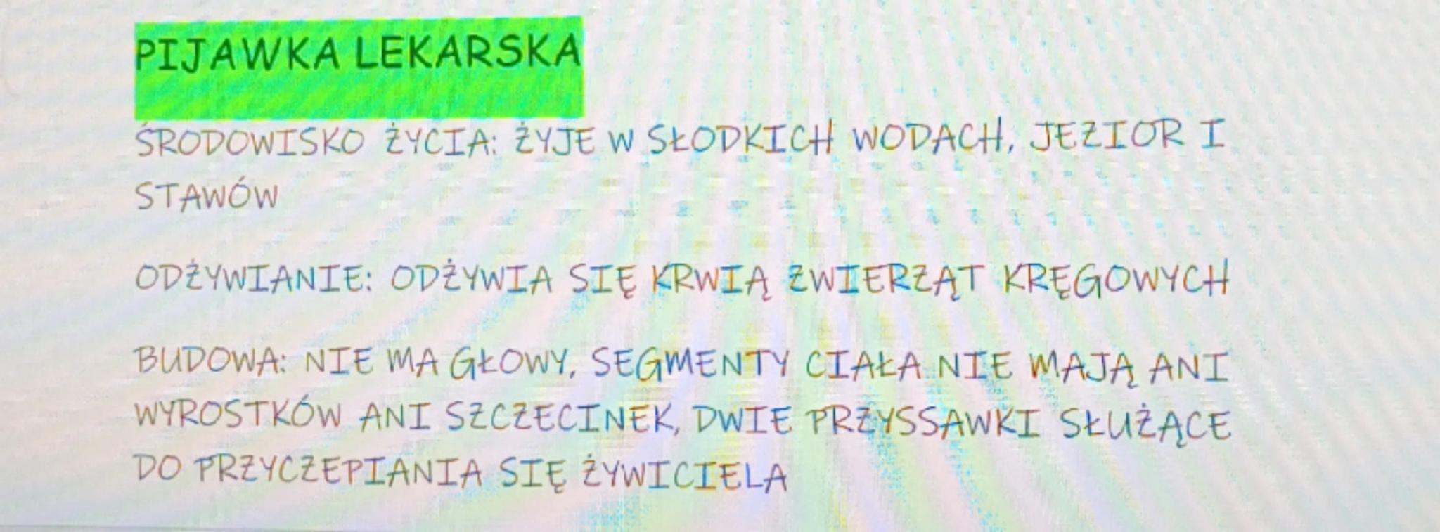 Biologia kl.6 dział2
od parzydełkowców do pierścienic
Płazińce są zwierzętami o wydłużonym, silnie spłaszczonym cile.
Ich przedstawicielami