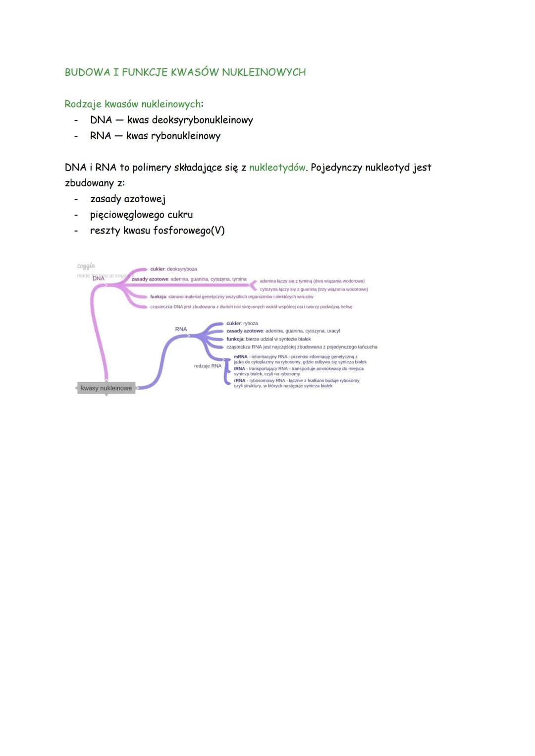 # BUDOWA I FUNKCJE KWASÓW NUKLEINOWYCH
## Rodzaje kwasów nukleinowych:
- DNA - kwas deoksyrybonukleinowy
- RNA kwas rybonukleinowy
DNA I R