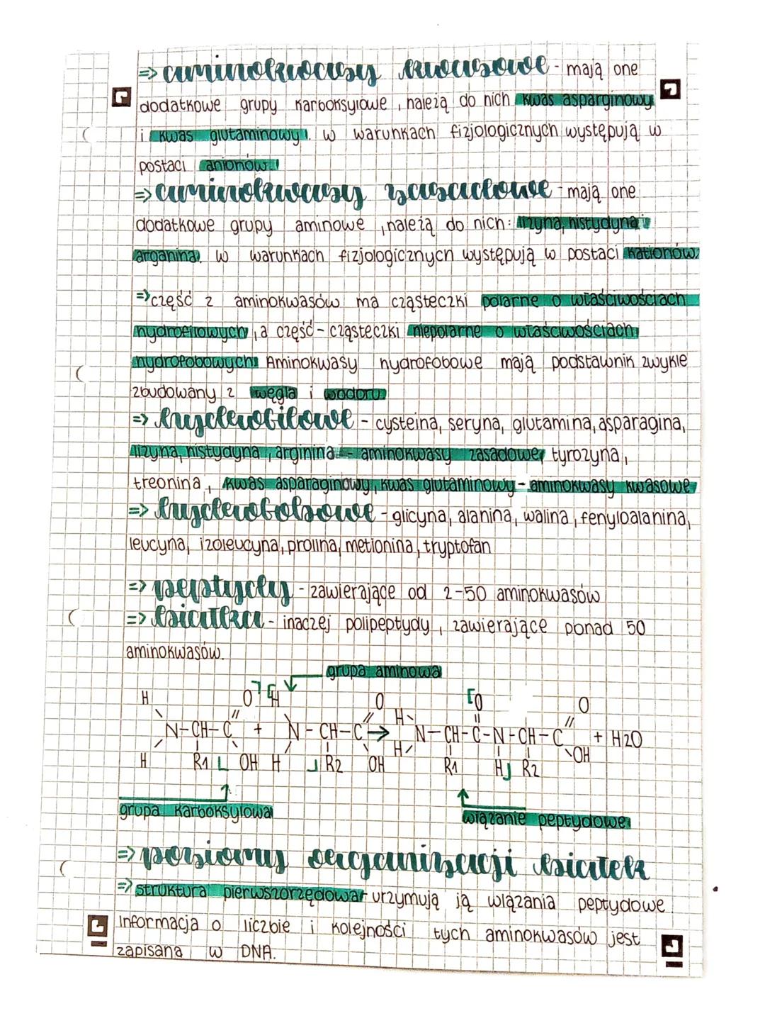 (
L
cuminolecosy-budlowa biatek
→aminokwasy są zoudowane 2 węgla.
wodoru, tlenu i azotu, niektóre białka zawierają siarke i wyjątko-
wo inne