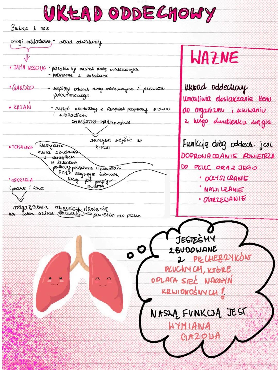 # UKŁAD ODDECHOWY
Budowa i role
drogi oddedrove ukiad oddechowy
* JANA NOSONA pazgtko wy odinek dring oddemowych
* GARDEO
* KITAN