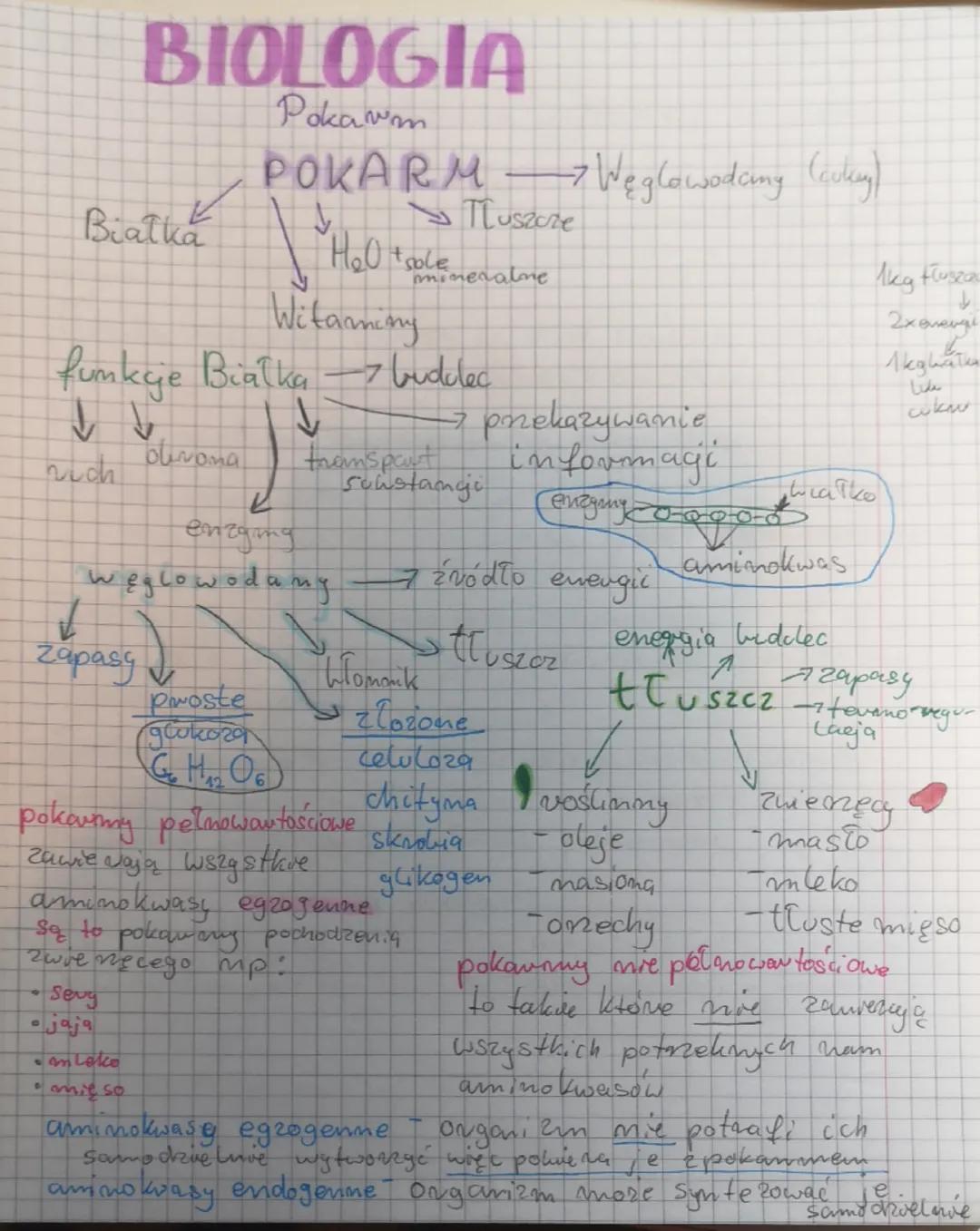 BIOLOGIA
Pokarm
POKARM Węglowodany (cy)
->
πLuszcze
Bialka
H₂O
sole
mineralme
Akg Huszo
Witaminy
->
↓
olmona
transpart
mich
funkcje Białka b