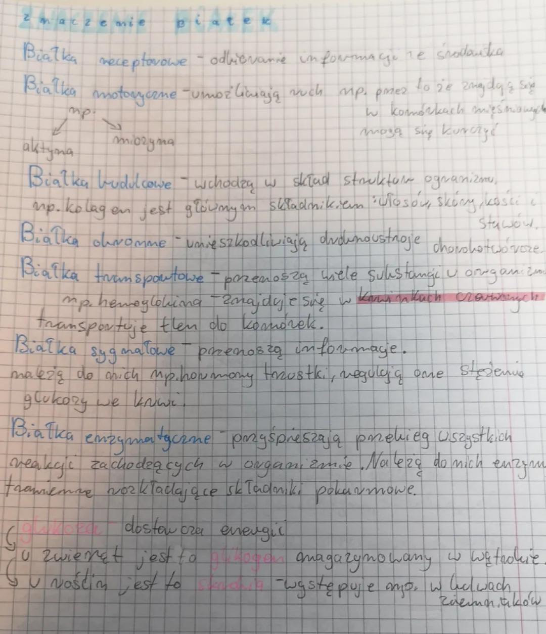 BIOLOGIA
Pokarm
POKARM Węglowodany (cy)
->
πLuszcze
Bialka
H₂O
sole
mineralme
Akg Huszo
Witaminy
->
↓
olmona
transpart
mich
funkcje Białka b