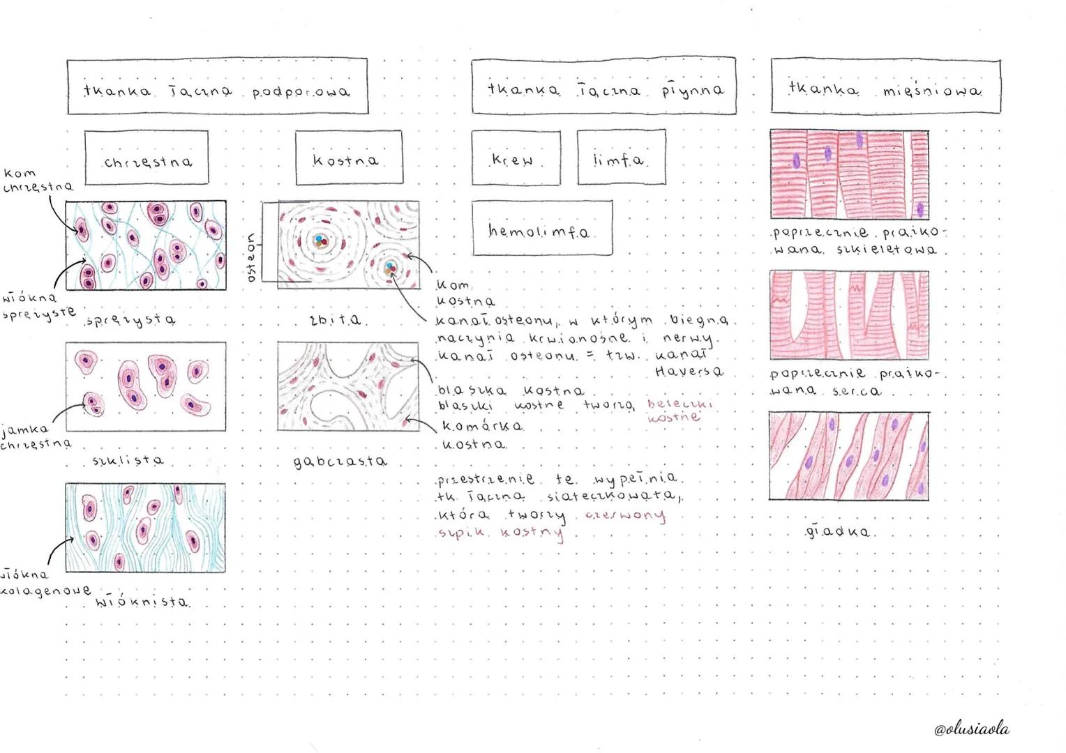 Thanki zwierzace
nabionki
biona
podstawna
مهم مهمة
28
jednowarstwowy
płaski
jednowarstwowy
sześcienny
jednowarstwowy
alcowaty.
201
jednowars