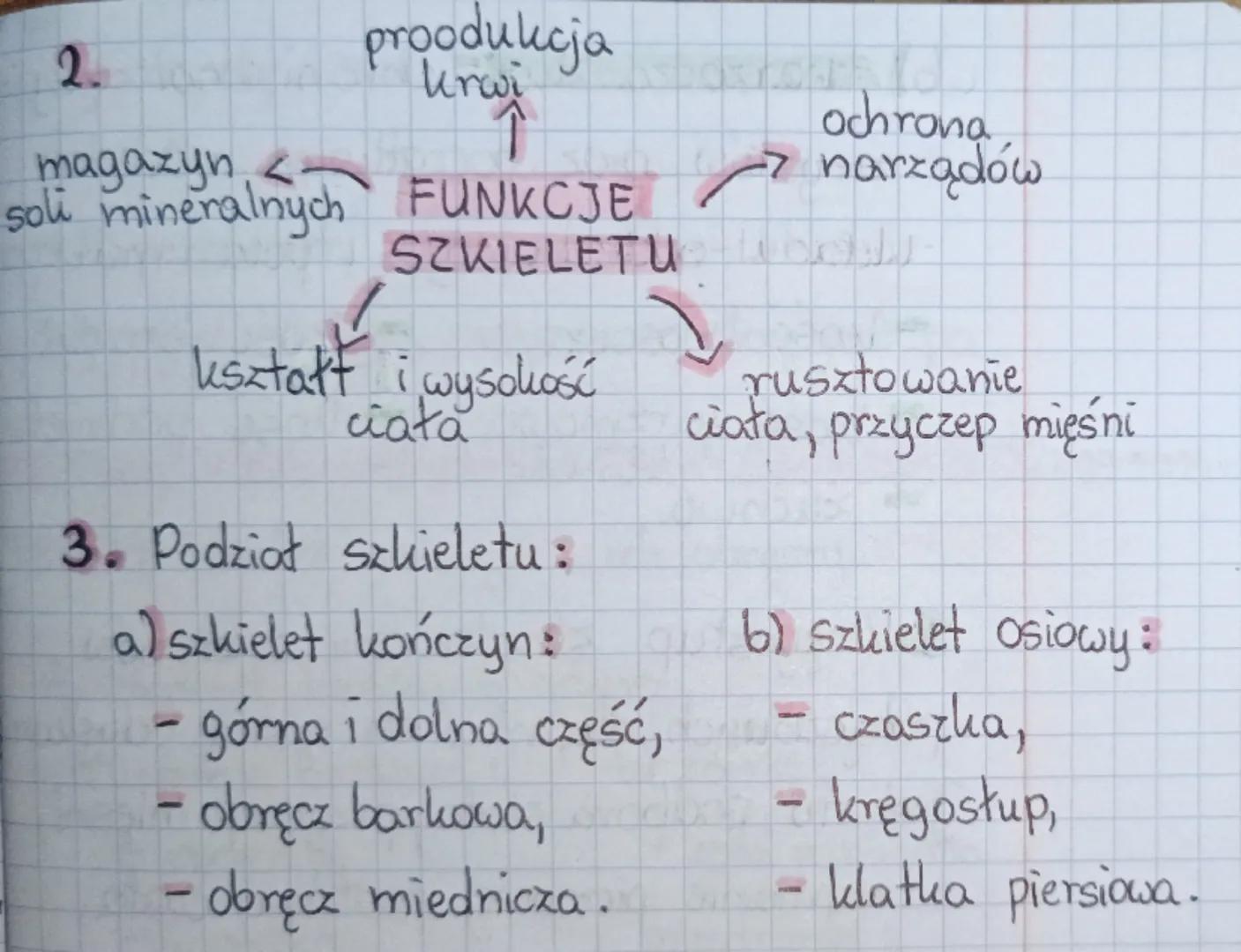 # 10.09.2022r.
# LEKCJA
TEMAT: Układ ruchu. Budowa i funkcje szkieletu.
1. Układ kostny + Układ mięśniowy = Układ ruchu
(część bierna) (