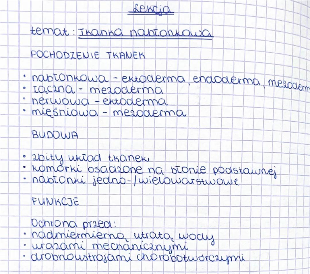 Tkanki zwierzęce. Tkanka nabłonkowa