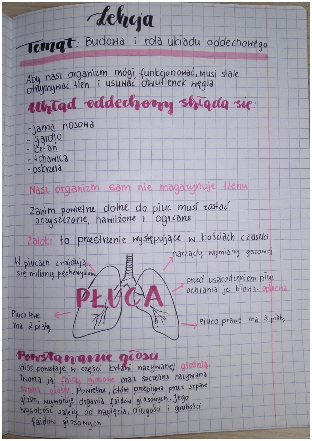 # Lehja
Temat: Budowa i rola ukiadu oddechowego
Aby nasz organizm mógi, funkcjonować, musi stale
otrzymywać tien i usuwać dwutlenek węgla