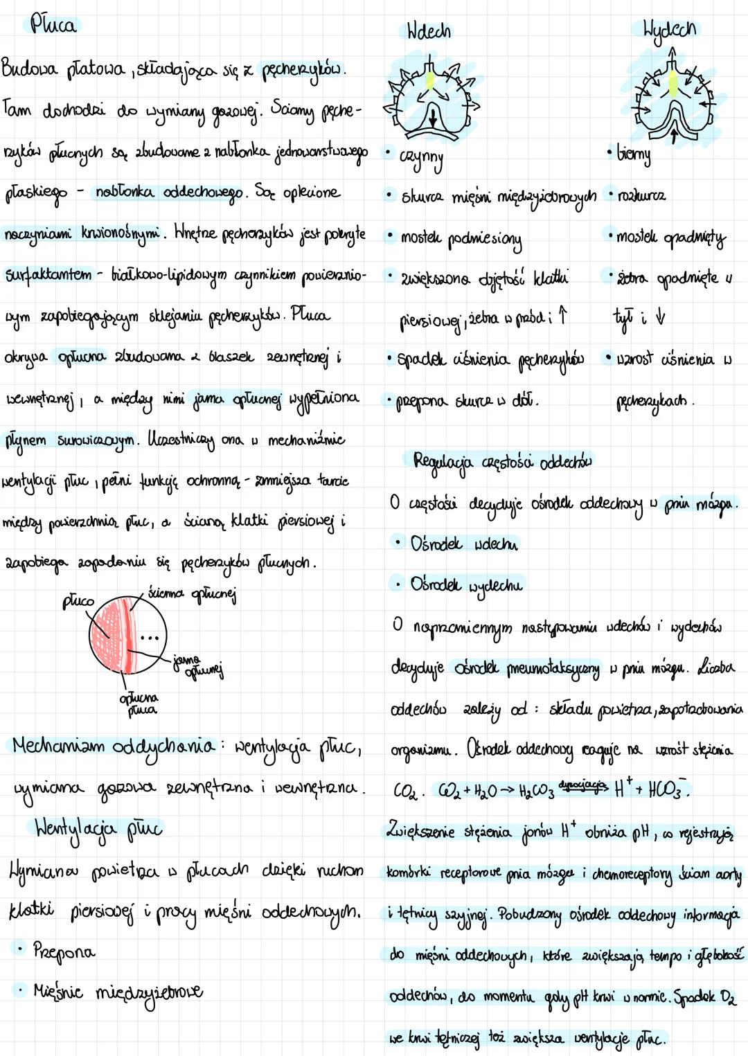 Układ
oddechowy # Układ oddechowy
Oddychanie - podstawowy proces dostarczania
komórkom energii. łożone związki są rozkładane
i utleniane do