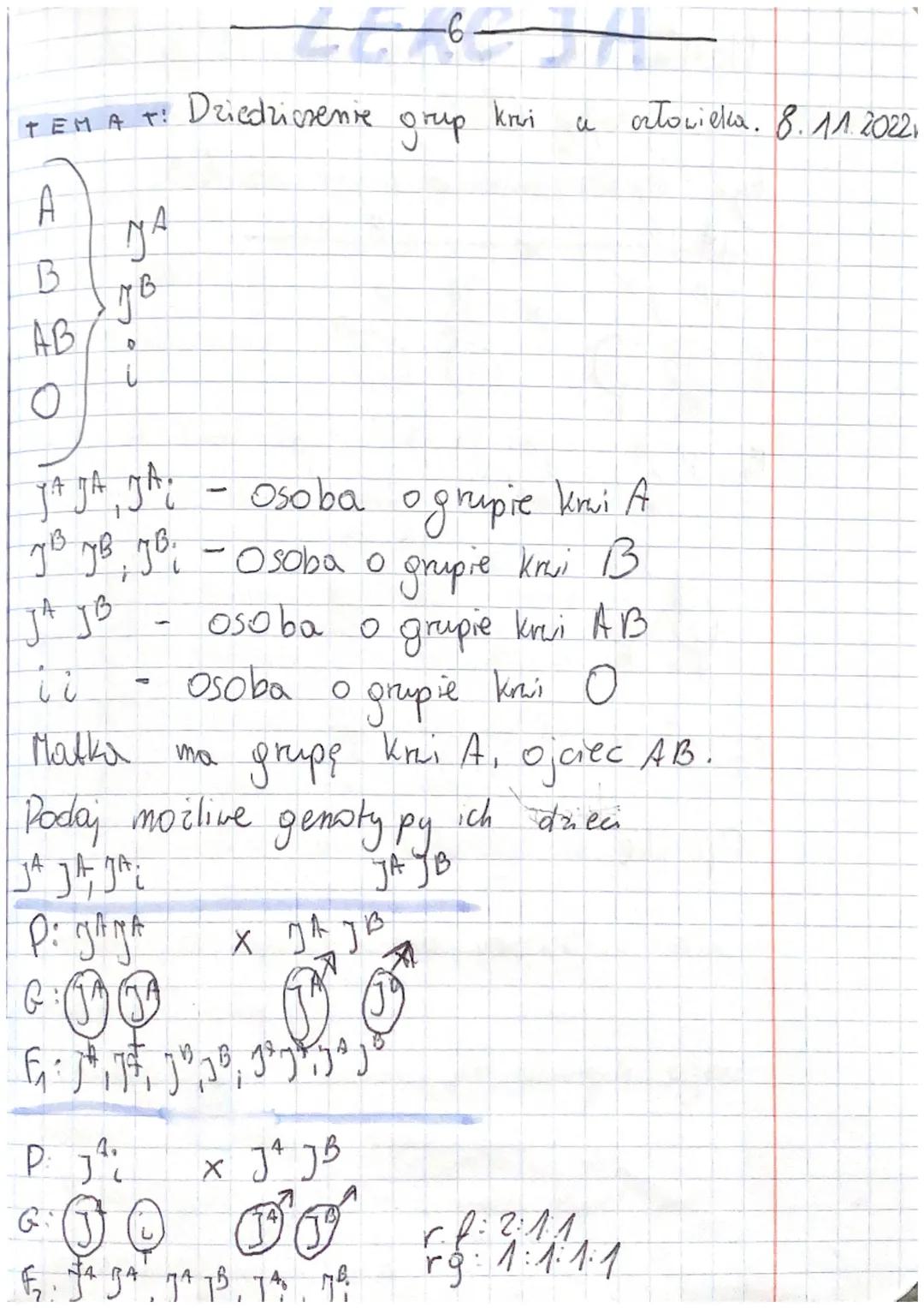 Dziedziczenie grup krwi u człowieka: jak działają krzyżówki