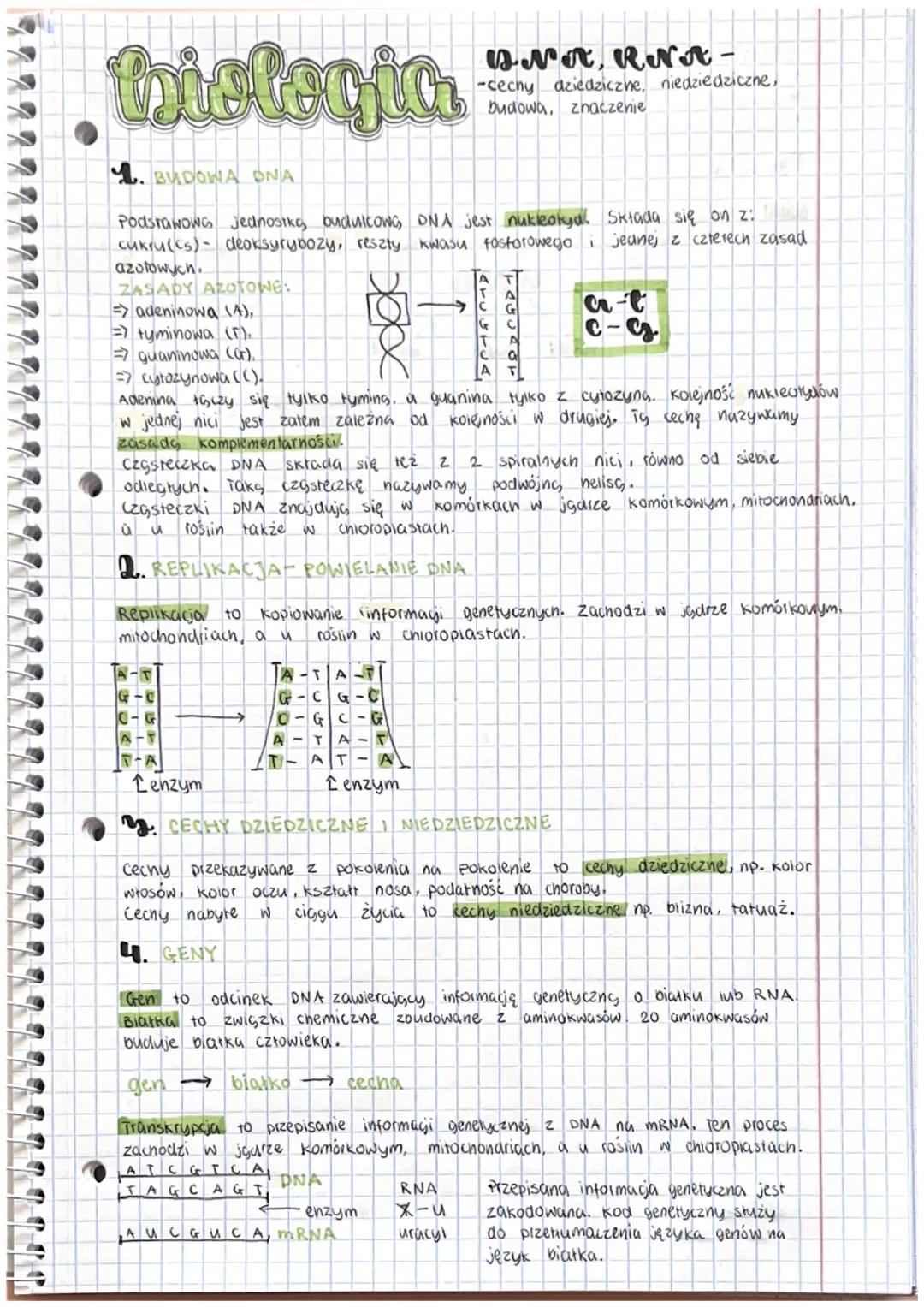 # biologia
QNA, RNA-
-cechy aziedziczne, niedziedziczne,
budowa, znaczenie
1. BUDOWA DNA
Podstawowa jednostka, budulcONG, DNA jest nukleo