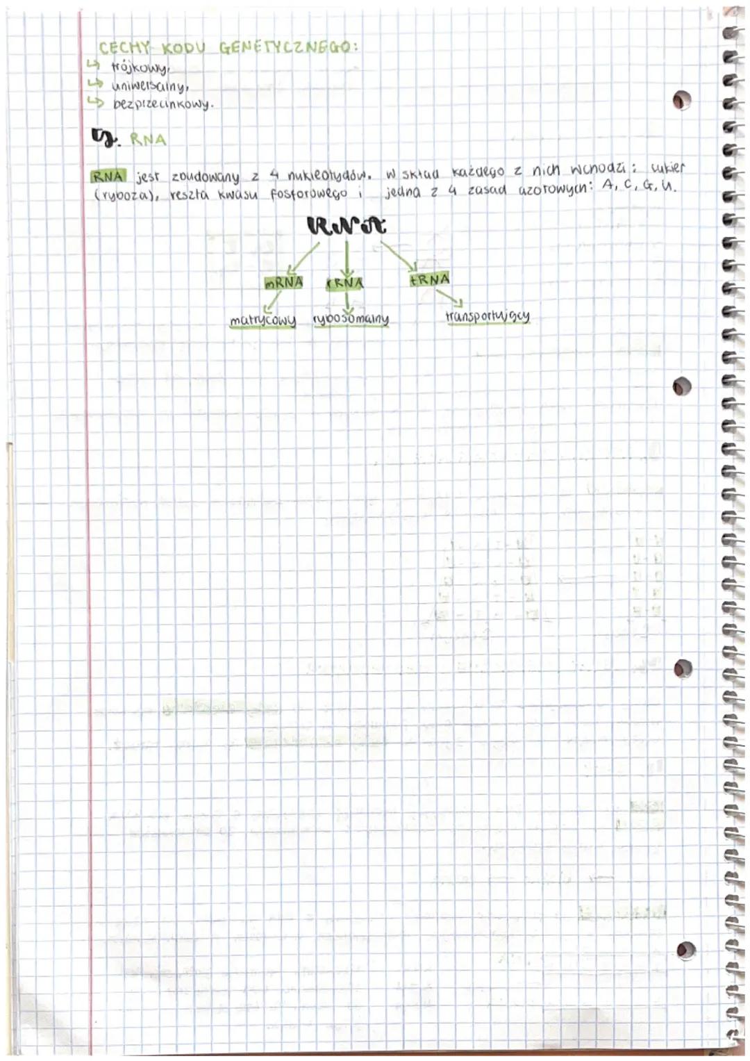 # biologia
QNA, RNA-
-cechy aziedziczne, niedziedziczne,
budowa, znaczenie
1. BUDOWA DNA
Podstawowa jednostka, budulcONG, DNA jest nukleo