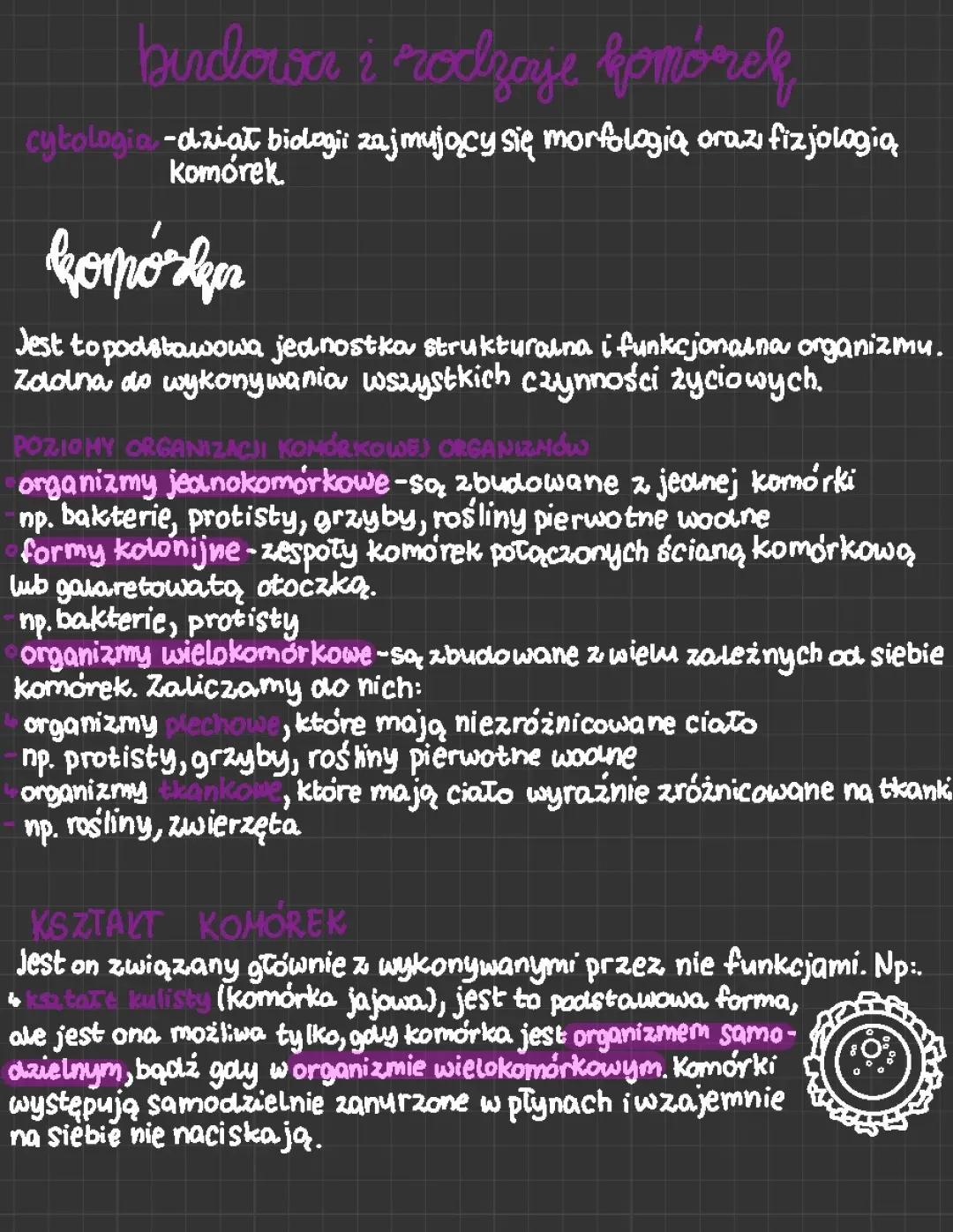 Różne Kształty i Typy Komórek: Prokariotyczne i Eukariotyczne