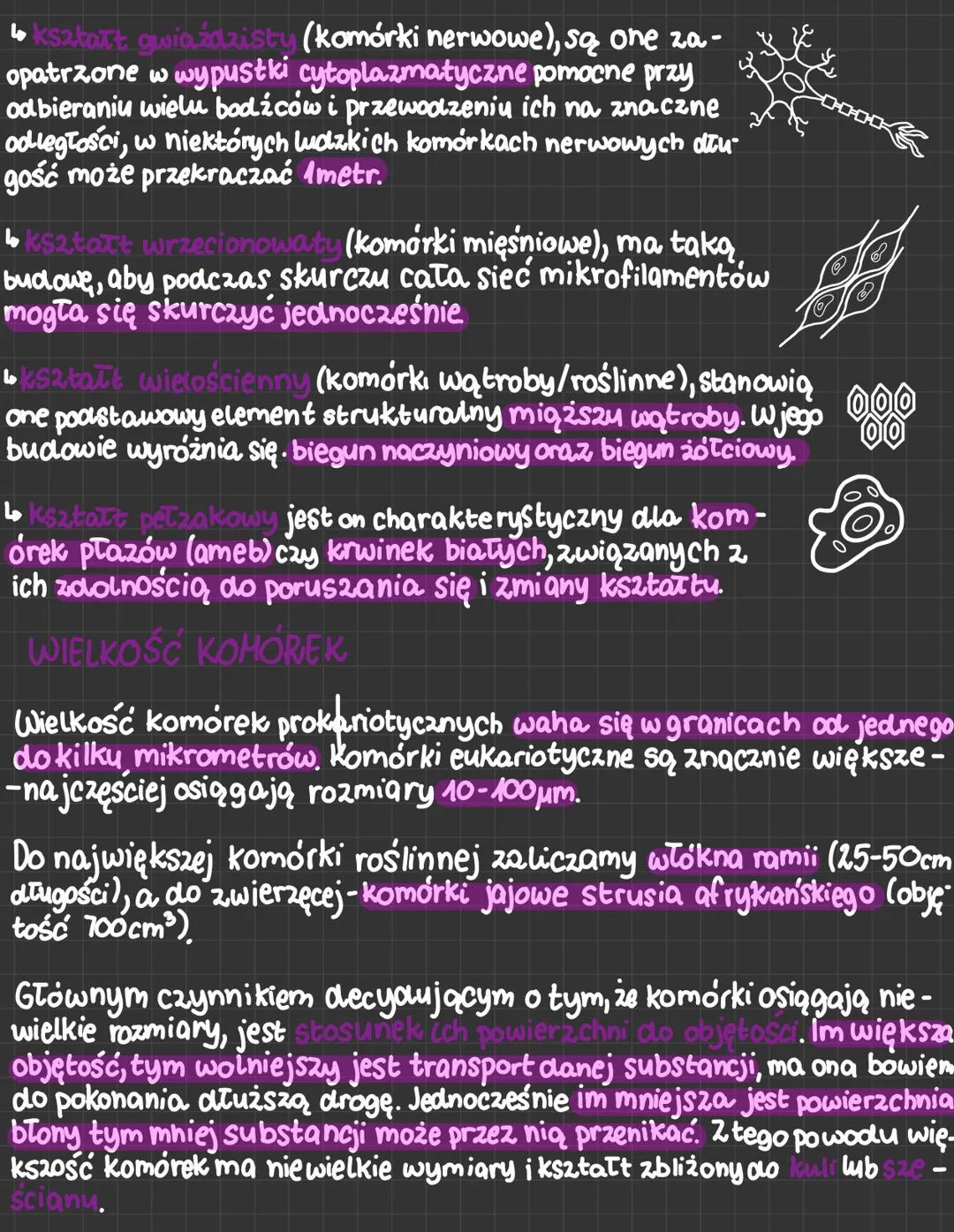 birdowa i rodzaje komórek
cytologia-dział biologii zajmujący się morfologią oraz fizjologią,
komórek.
вопозвыч
Jest to podstawowa jednostka