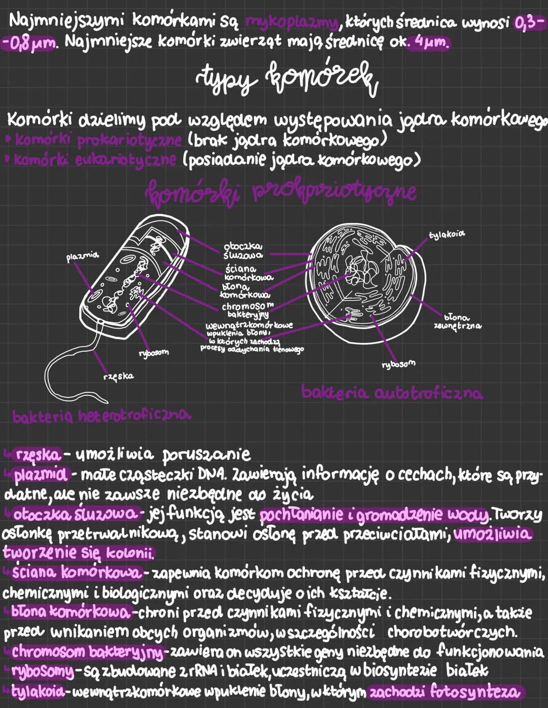 birdowa i rodzaje komórek
cytologia-dział biologii zajmujący się morfologią oraz fizjologią,
komórek.
вопозвыч
Jest to podstawowa jednostka
