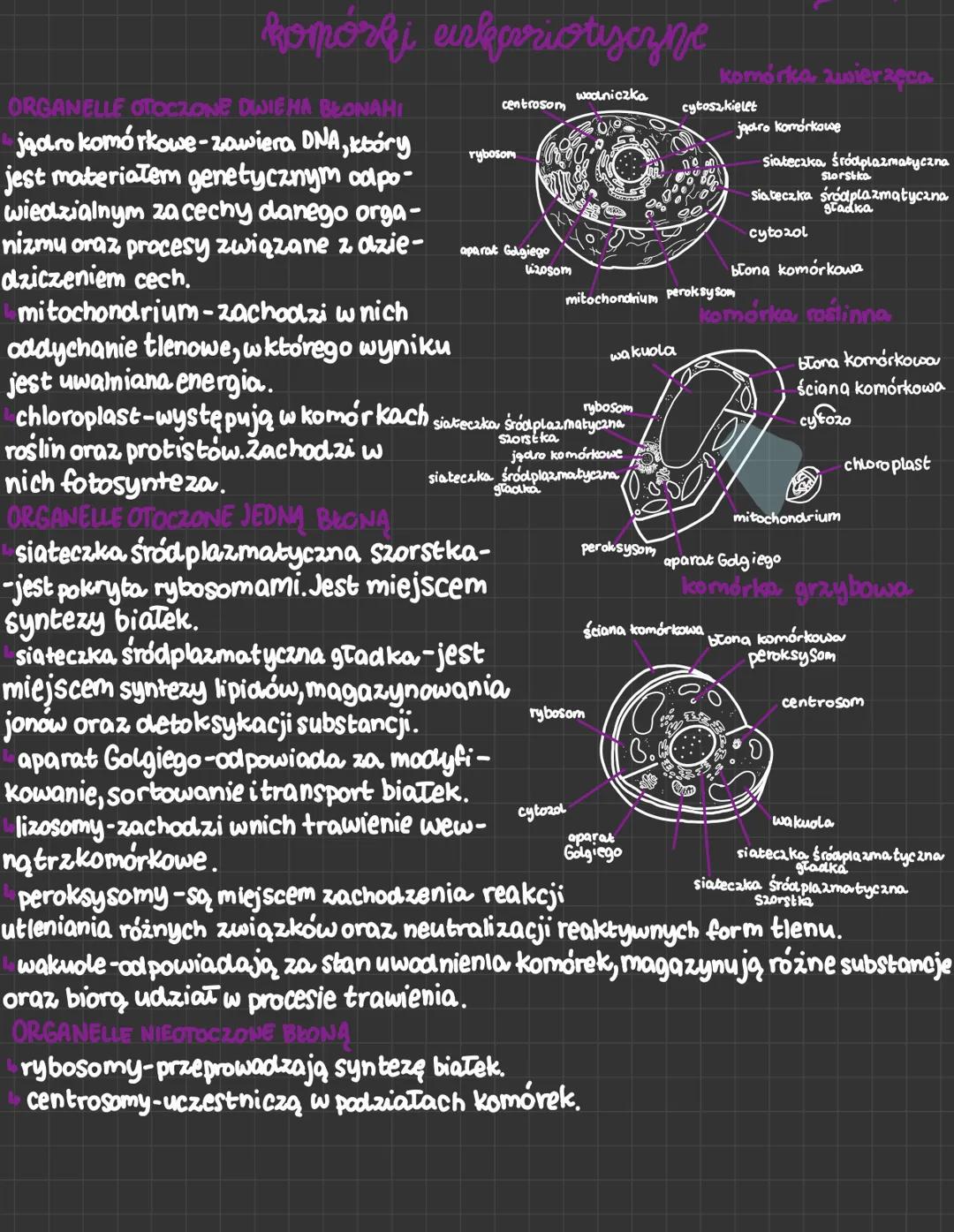 birdowa i rodzaje komórek
cytologia-dział biologii zajmujący się morfologią oraz fizjologią,
komórek.
вопозвыч
Jest to podstawowa jednostka