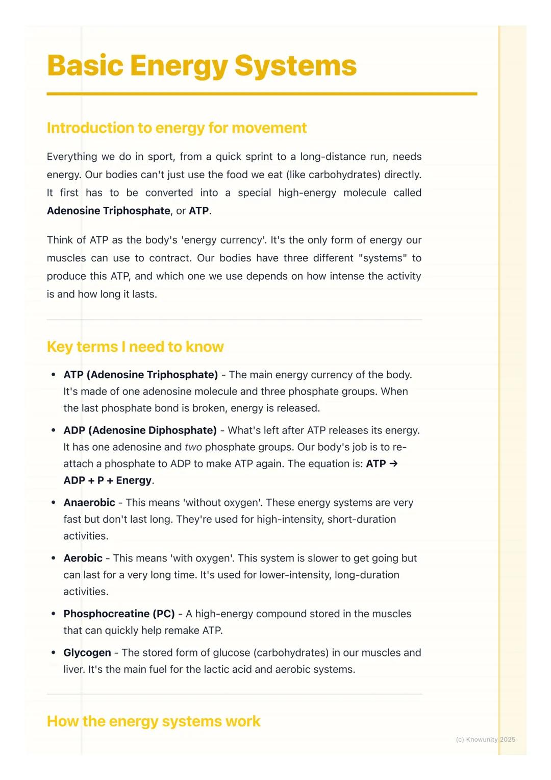 # Basic Energy Systems
Introduction to energy for movement
Everything we do in sport, from a quick sprint to a long-distance run, needs
en