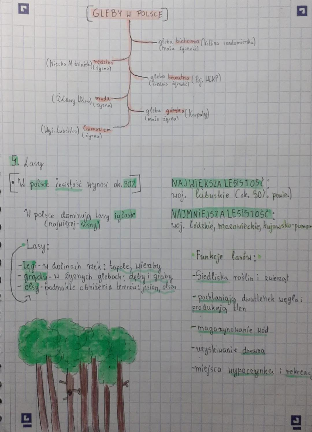 L
اد
Geografia
"DRial I, caesi 2 - środowisko przyrodnicze Polski..
4. Wody powierzchniowe.
•System rzeczny.
*Źródło - początek rzeki, miejs