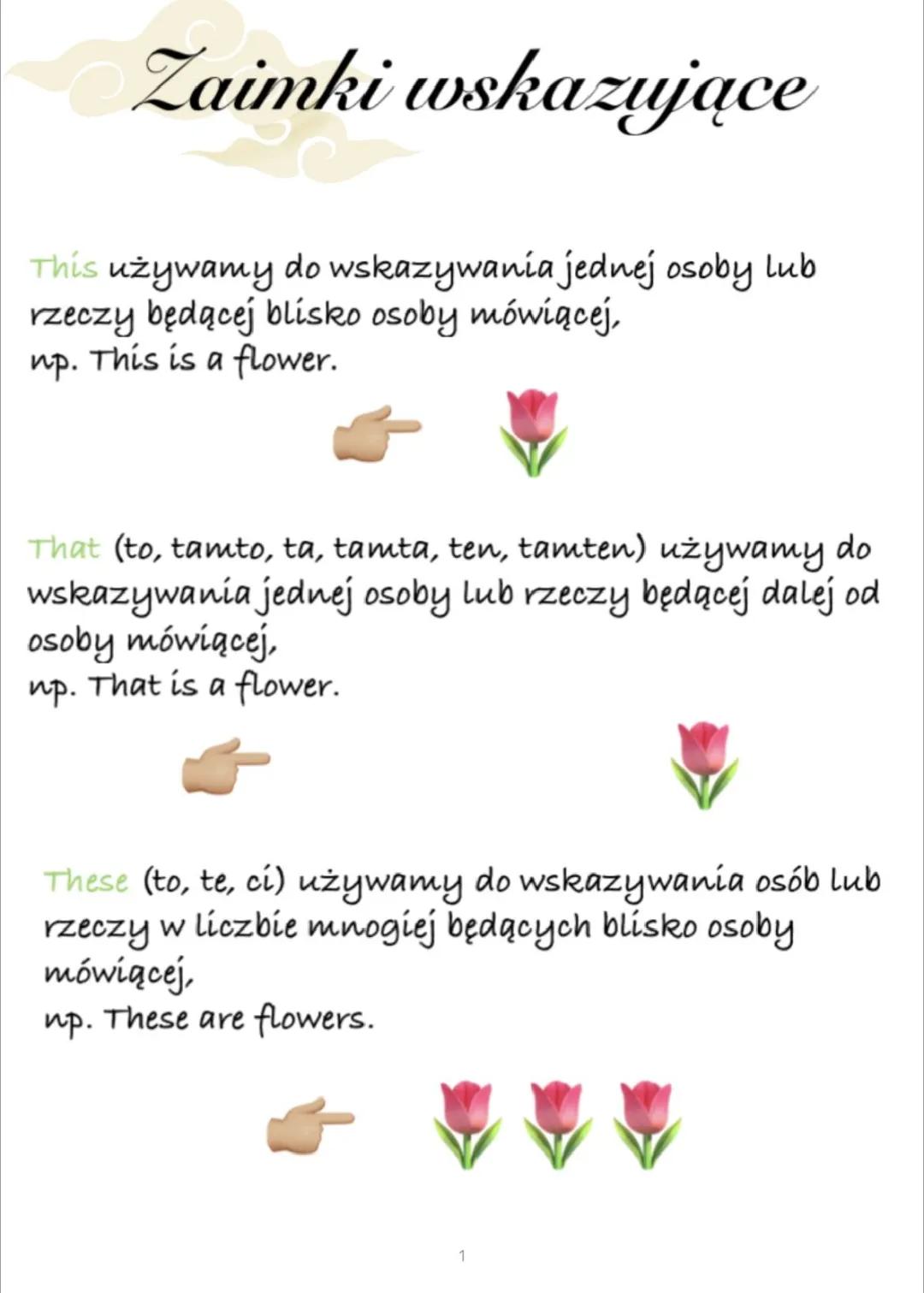 Zaimki wskazujące: Praktyczne objaśnienia i zastosowania