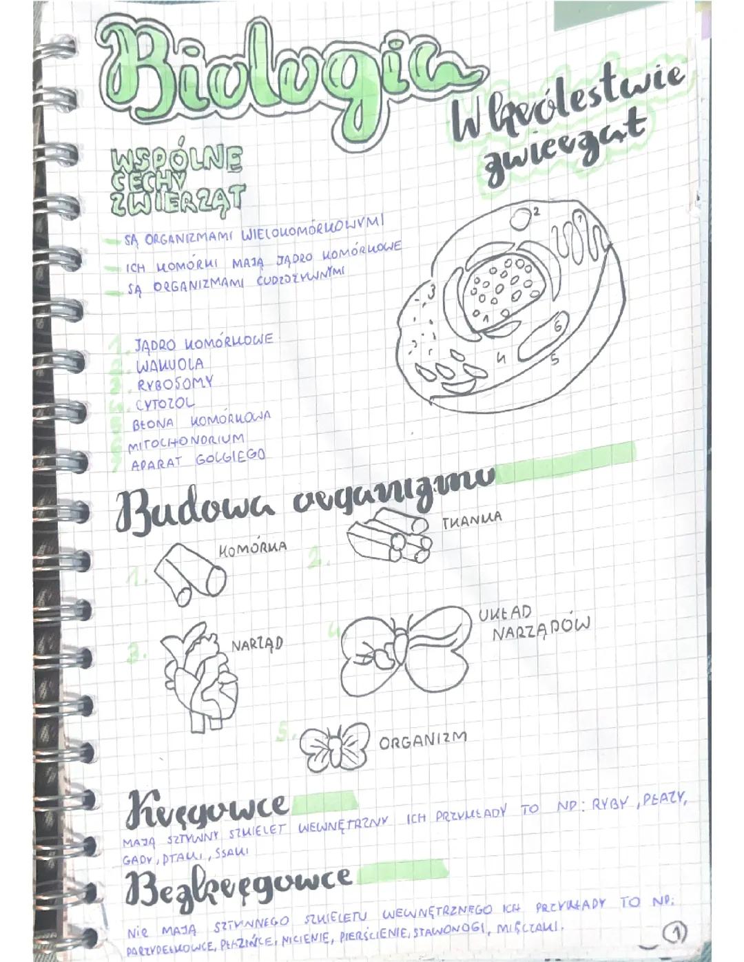 Puls życia biologia klasa 6 dział 1