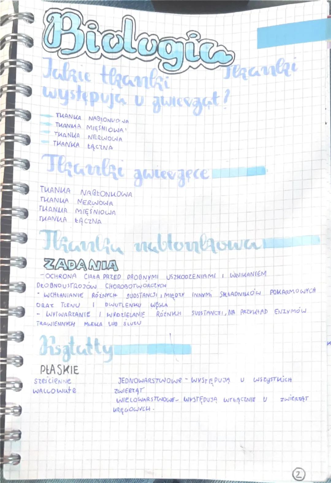 Biologia
WSPÓLNE
GECHY
ZWIERZĄT
SA ORGANIZMAMI WIELOKOMÓRKOWYMI
ICH MOMORMI MAJA JADRO KOMÓRKOWE
SA ORGANIZMAMI CUDZOZYWNYMI
JADRO KOMÓRKOWE