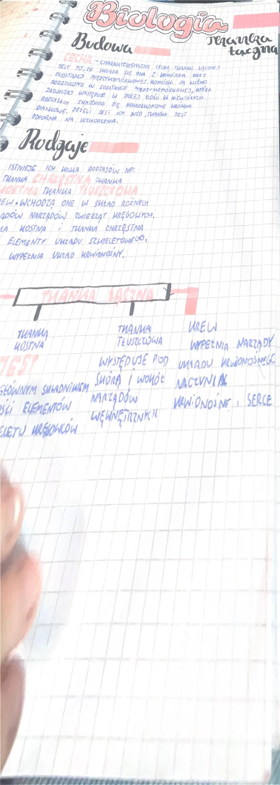 Biologia
WSPÓLNE
GECHY
ZWIERZĄT
SA ORGANIZMAMI WIELOKOMÓRKOWYMI
ICH MOMORMI MAJA JADRO KOMÓRKOWE
SA ORGANIZMAMI CUDZOZYWNYMI
JADRO KOMÓRKOWE
