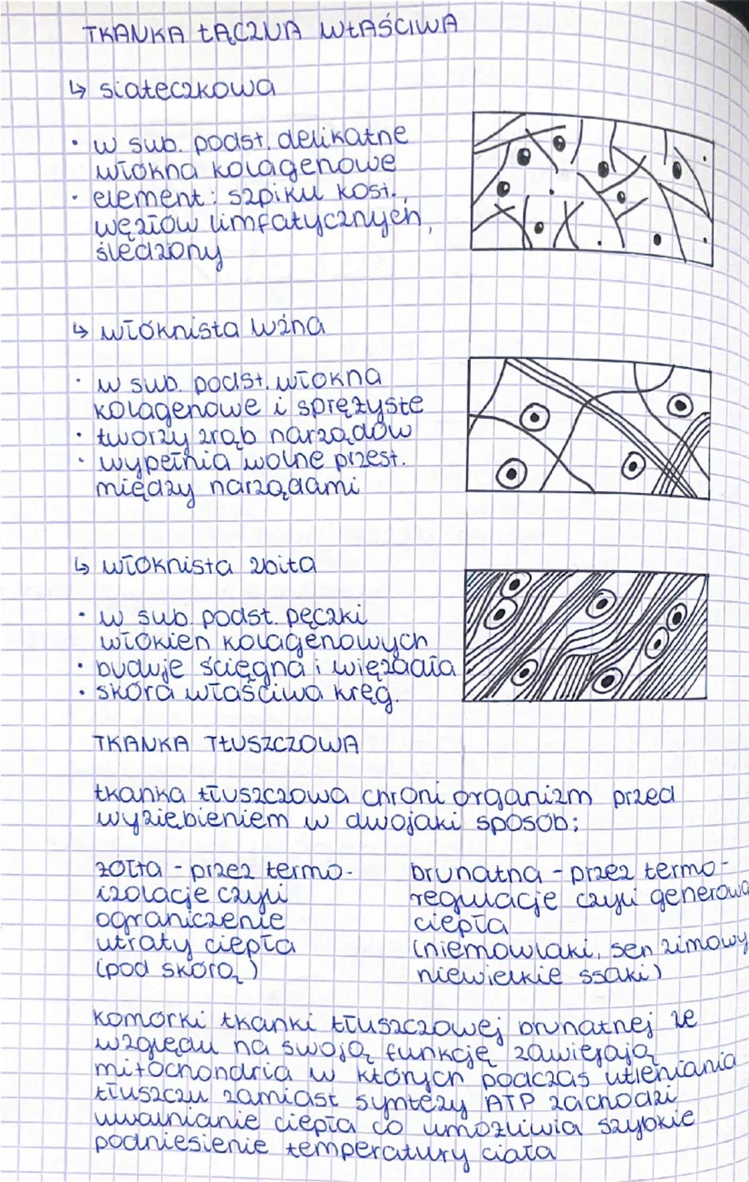 --- OCR Start ---
Lekcja
temat: Ikanка тосапа
BUDOWA
TKANKA TACQUA
komórka danego typu
thanki Tącznej
są wzno utozone
substancja między komó