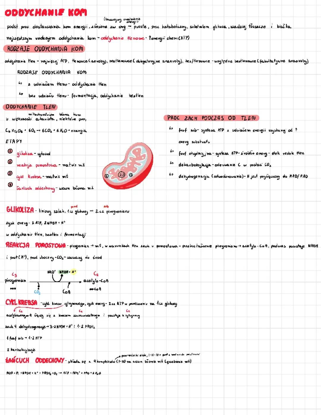 oddychanie komórkowe