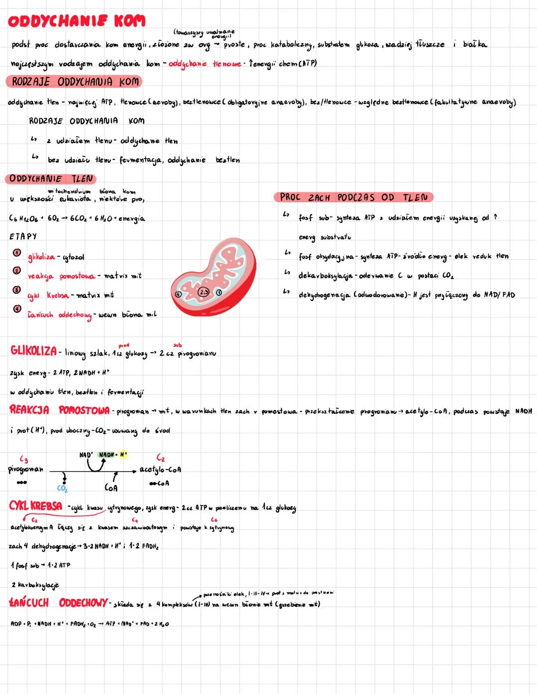 ODDYCHANIE
KOM
(towarzyszy uwal manie
energiil
podst proc dostarczania kom energii, złożone zw org → proste, proc kataboliczny, substratem g