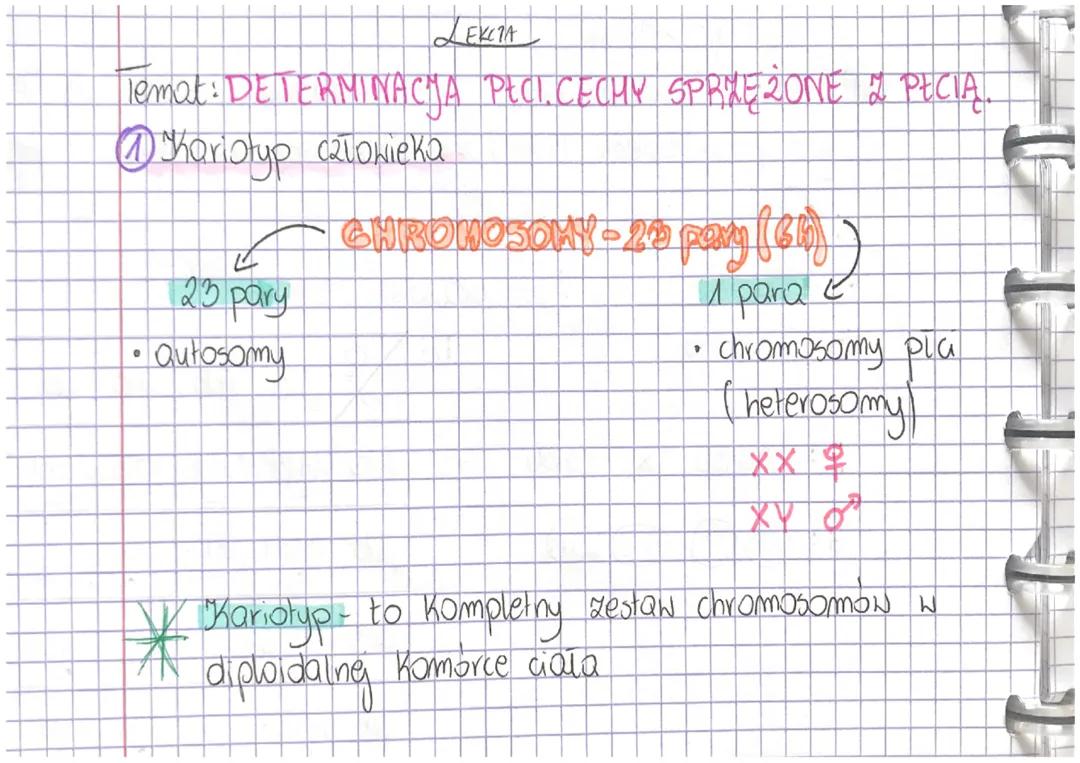 DTERMINACJA PŁCI. CECHY SPRZĘŻONE Z PŁCIĄ