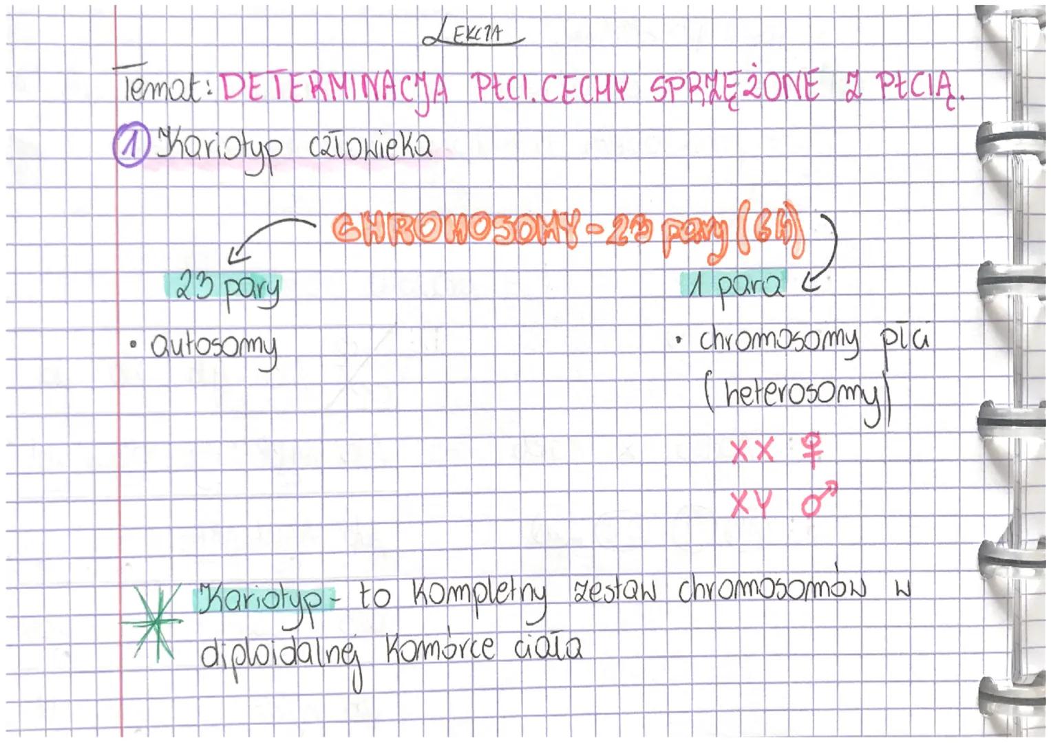 LEKCIA
Temat: DETERMINACJA PECI.CECHY SPRIE ZONE Z PŁCIĄ.
@ Shariotyp człowieka
CHROMOSOMY-22 pang (60))
23 pary
1 para e
• Qutosomy