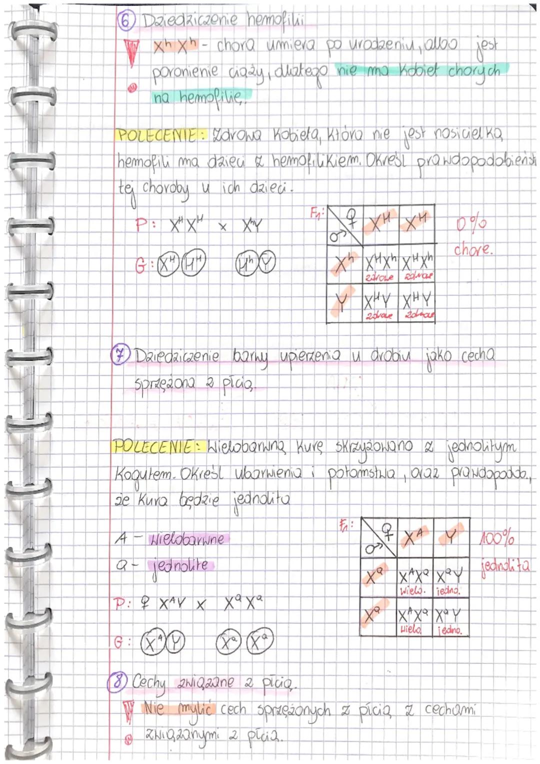 LEKCIA
Temat: DETERMINACJA PECI.CECHY SPRIE ZONE Z PŁCIĄ.
@ Shariotyp człowieka
CHROMOSOMY-22 pang (60))
23 pary
1 para e
• Qutosomy
